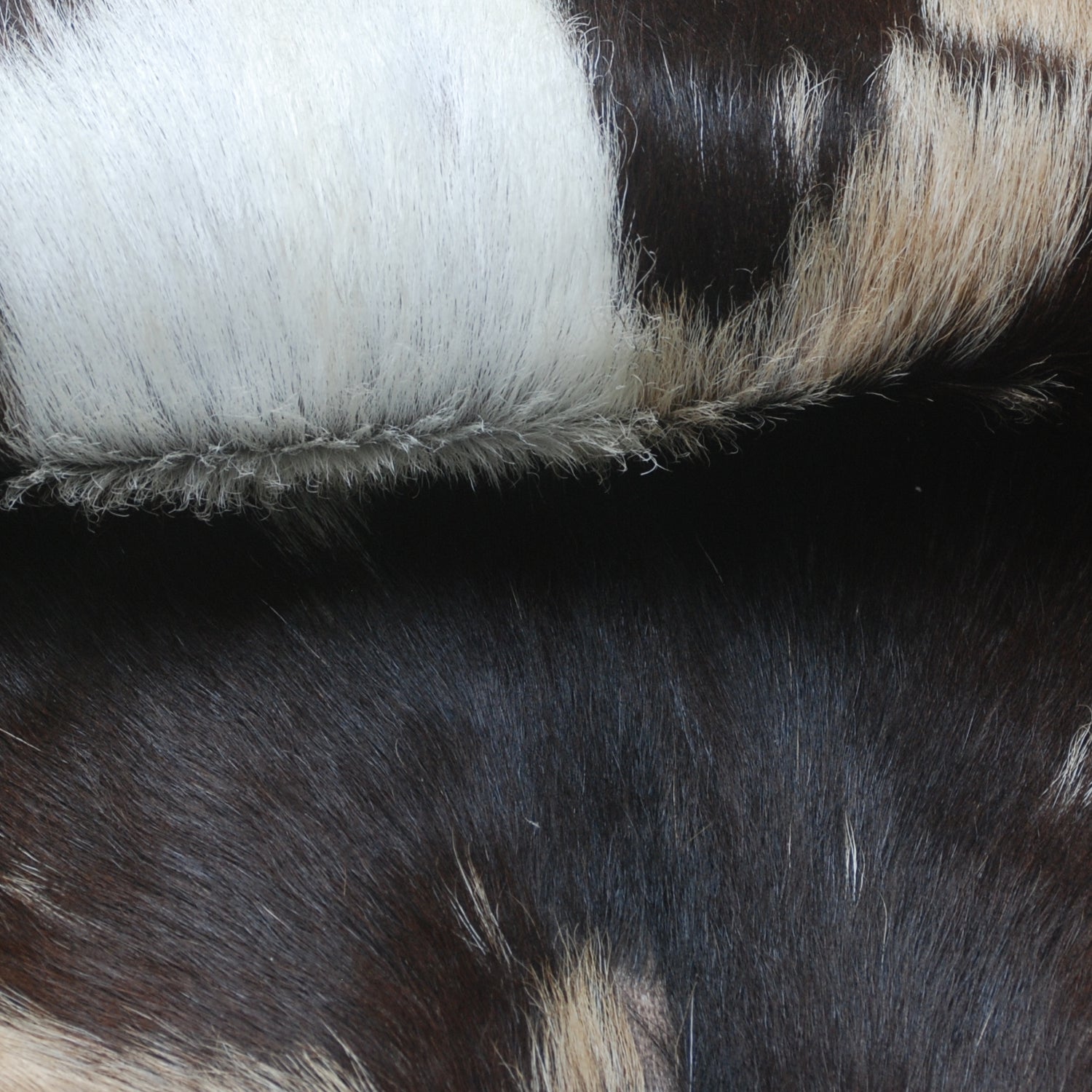 Tri-Color Handmade Goat Skin Rug – Unique Style for Your Home Décor