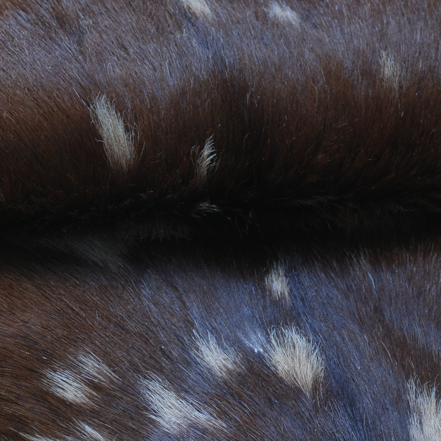 Handcrafted Dark Brown Goat Skin Rug – Authentic Elegance for Your Home