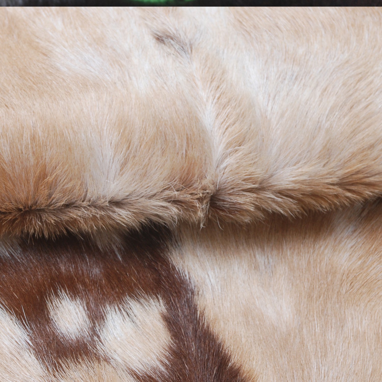 Goat Skin Rug: Tri-Color genuine Goat hide rug