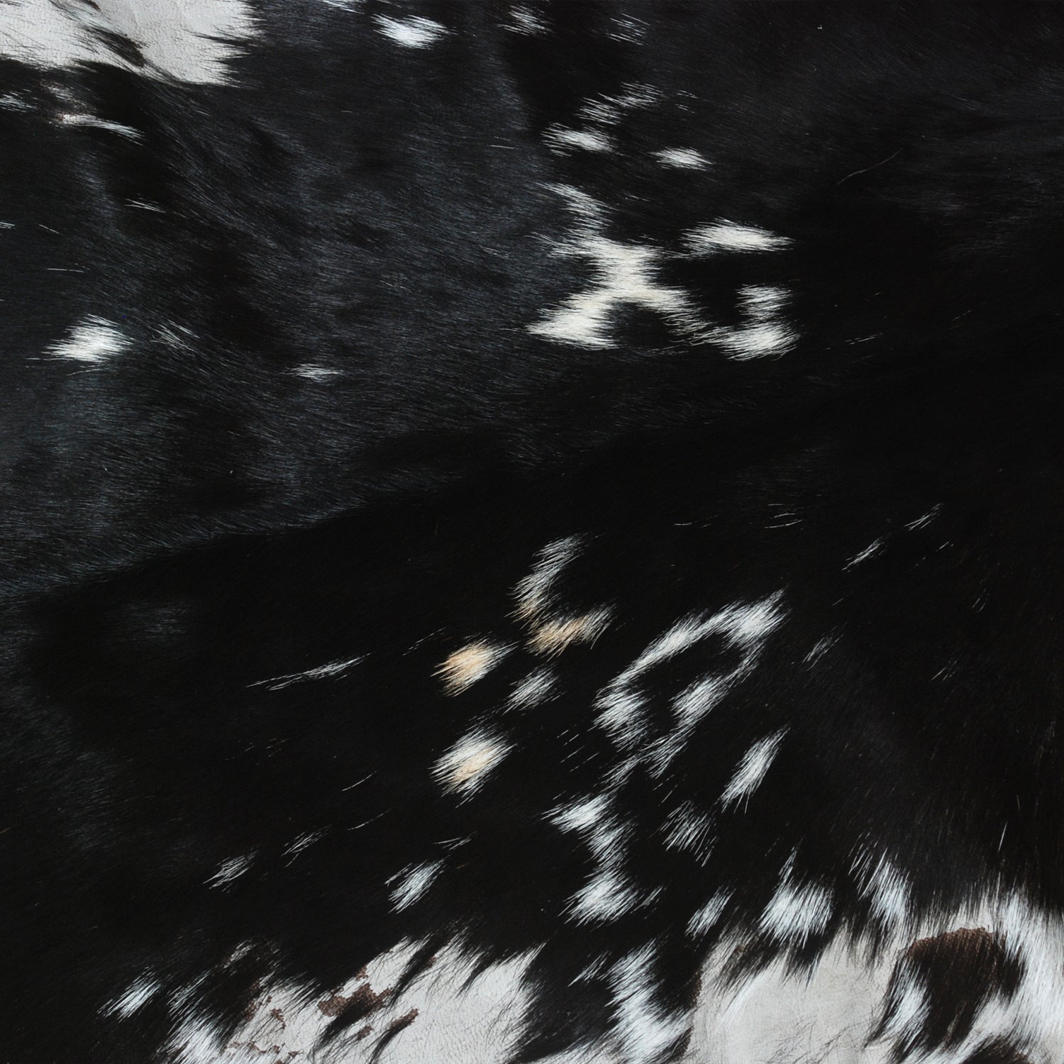 Decorative Black and White Goat Skin Rug - Genuine Leather for Sophisticated Spaces