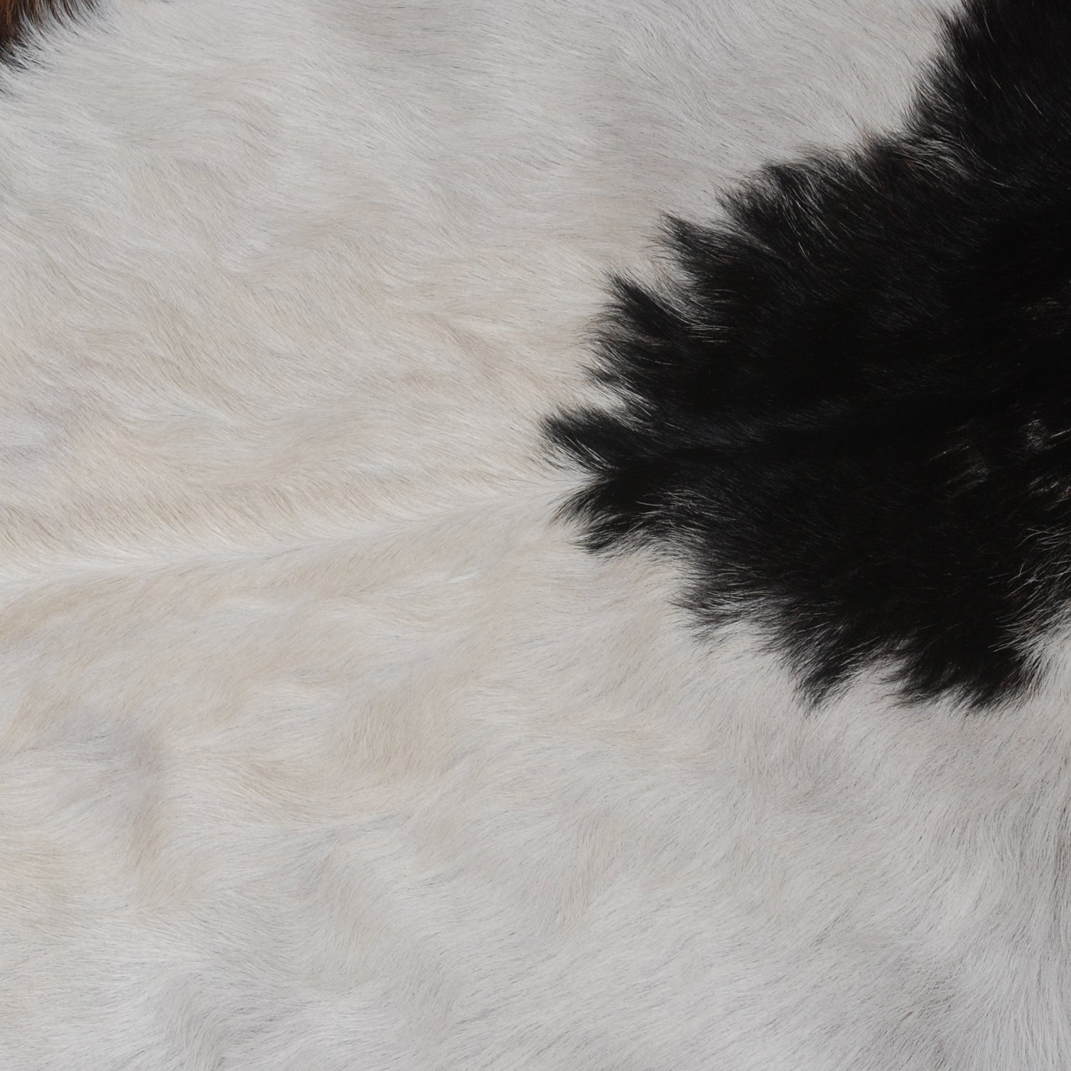 Luxury Multicolour Goat Skin Rug Handmade from 100% Pure Goat Skin | Soft, Durable, Hypoallergenic, Eco-Friendly | Unique Colour Variations,