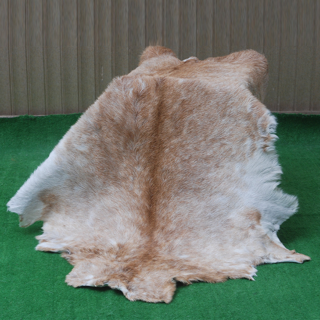 Luxury Brown & White Goat Skin Rug - Premium Quality Handcrafted Natural Goat Hide Rug for Home Decor - Celestial Leather Limited