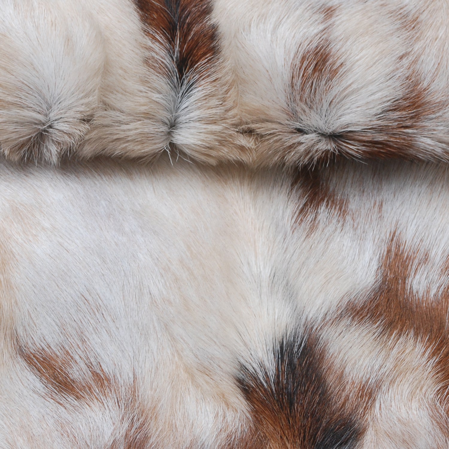 Natural Tri-Color Goat Hide Rug - Luxurious Accent for Rustic and Modern Spaces