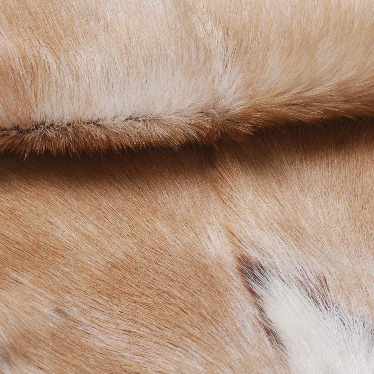 Elegant Brown and White Goat Hide Rug - Perfect Accent for Living Room or Bedroom