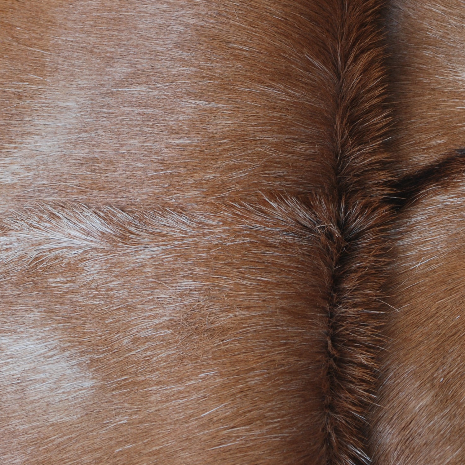 Luxuriously Soft Dark Brown & White Genuine Goat Fur Rug - Eco-Friendly, Non-Shedding, and Hypoallergenic - Unique Patterns - Handcrafted