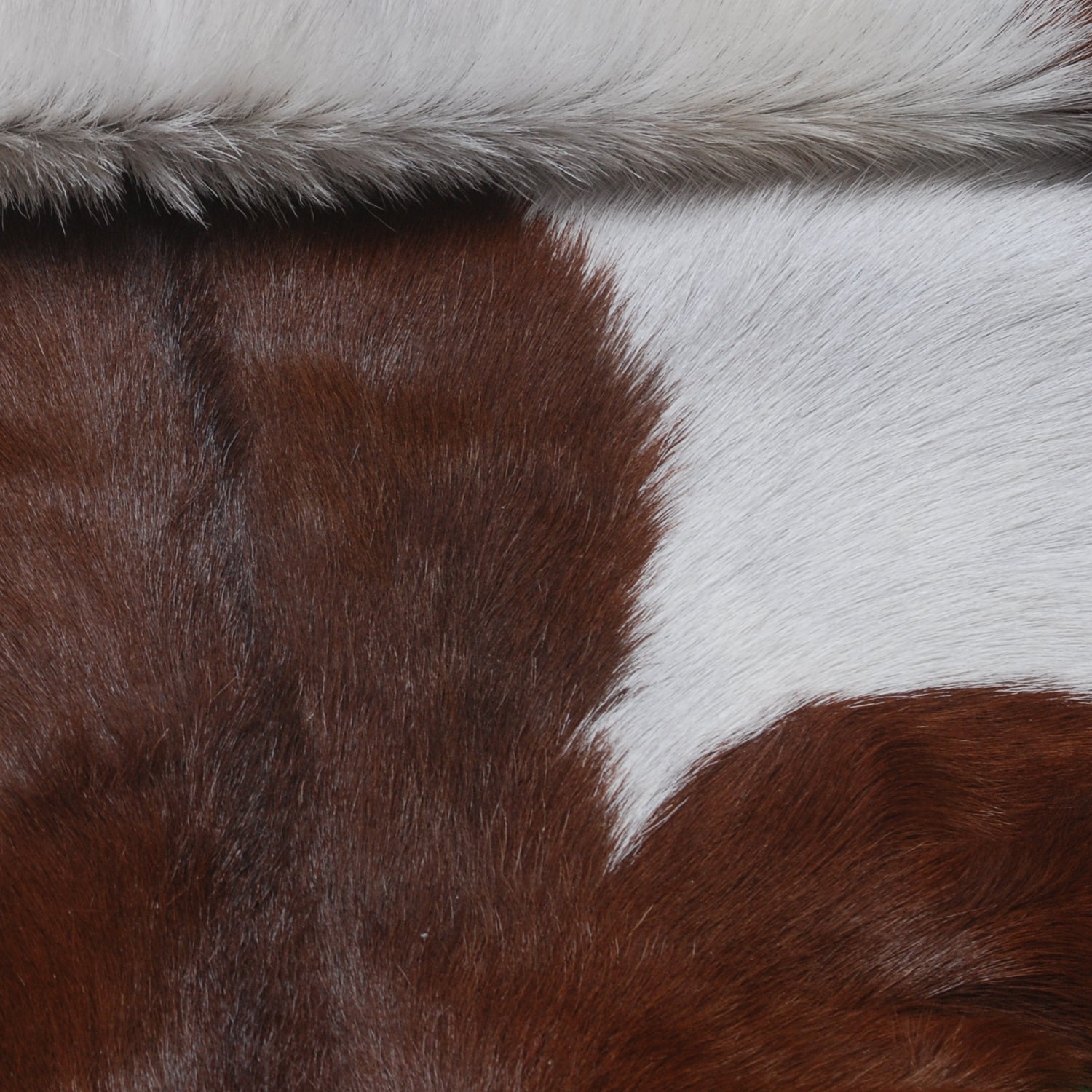 Dark Brown Rug - Soft, Durable, and Eco-Friendly - Handmade Pure Goat Skin Floor Rug - Non-Slip Suede Back