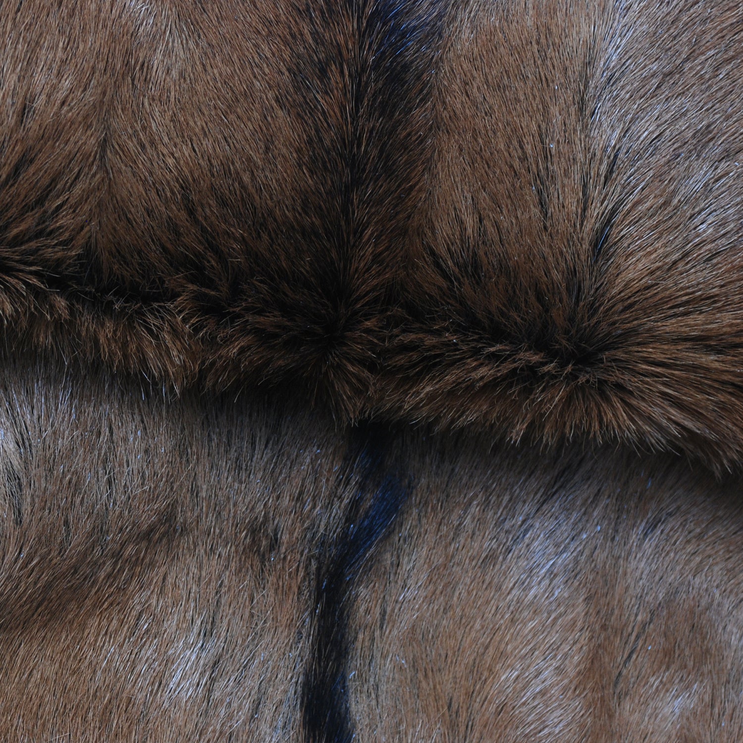 Natural Hair-On Dark Brown Goat Skin Rug - Elegant and Durable for Any Room