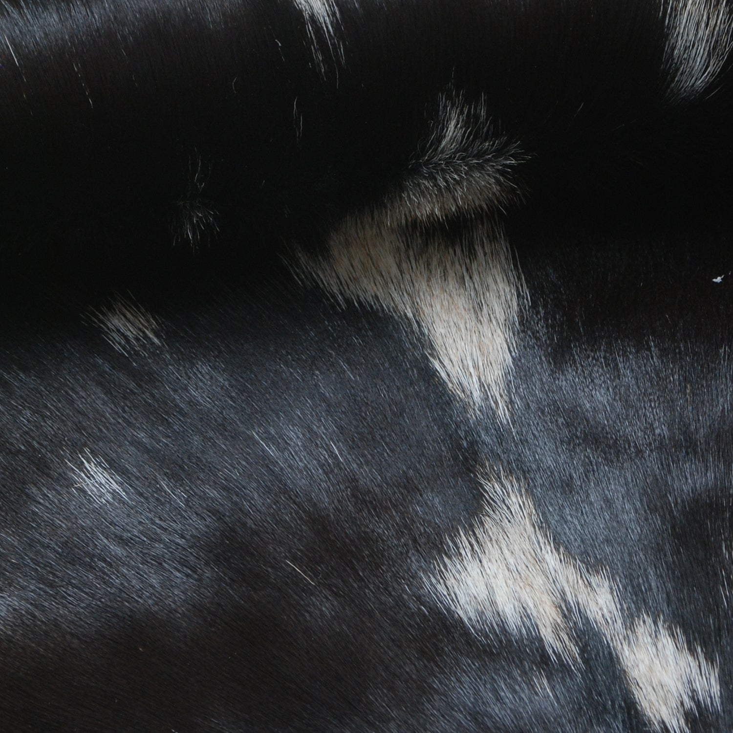 Premium Black and White Goat Skin Rug - Genuine Hair-On Leather for Home Décor