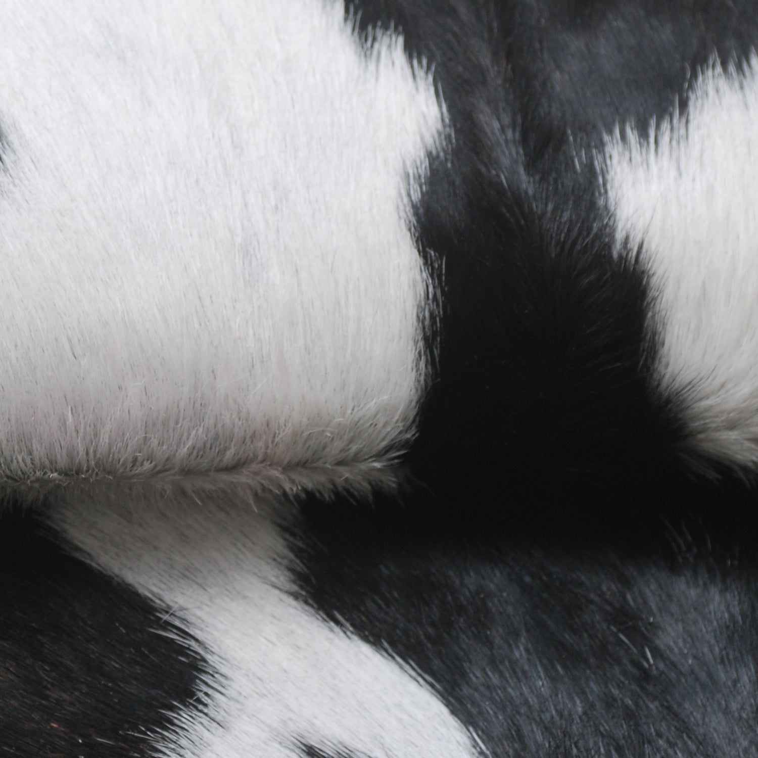 Rustic Black and White Goat Hide Rug - Perfect for Floor or Wall Décor