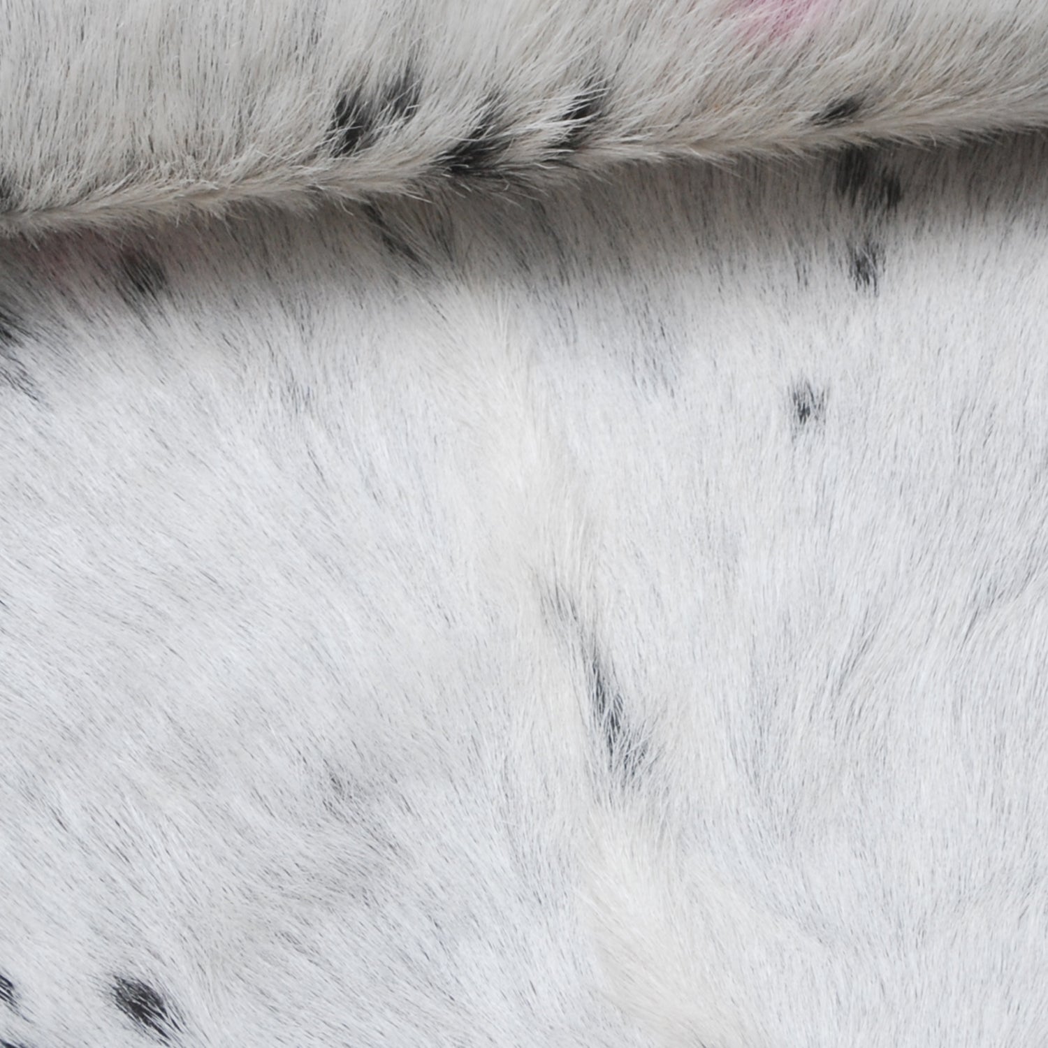 Brown and White Handmade Goat Skin Rug – Classic Elegance for Your Home