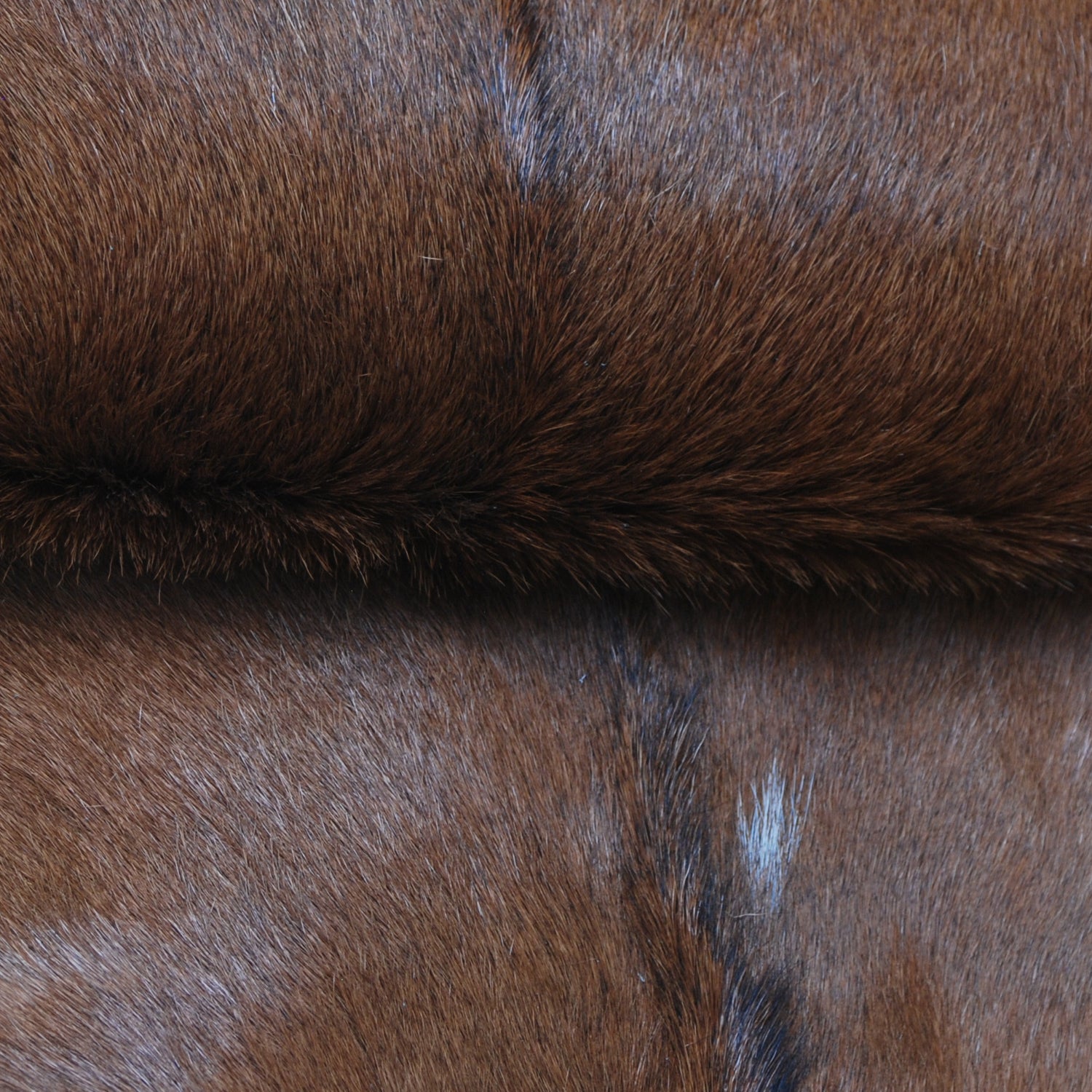 Premium Dark Brown Goat Hide Rug - Soft and Durable for Sophisticated Interiors