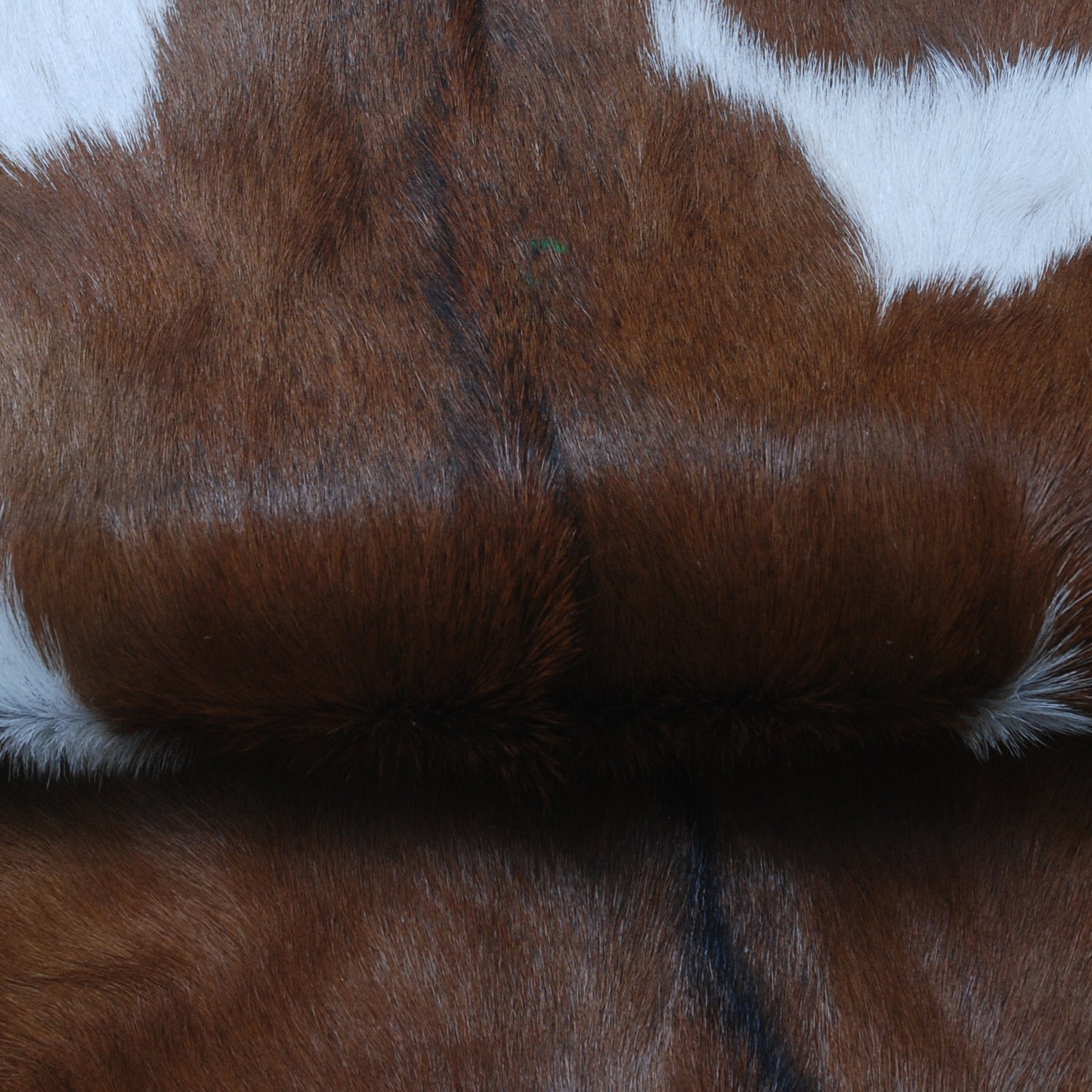 Luxury Handmade Brown & White Goat Skin Rug - Natural Soft Sustainable Floor Rug with Non-Slip Back - Unique Eco-Friendly Home Décor - Celestial Leather Limited