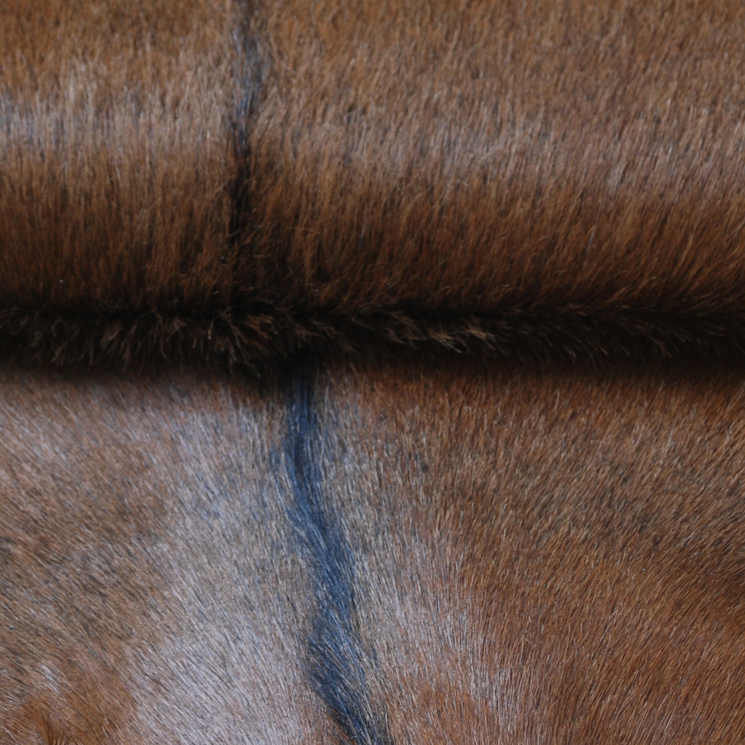 Luxurious Brown and White Goat Skin Rug - Handpicked Premium Goat Hide - Unique Patterns & Colors - Hypoallergenic - Non-Shedding - Celestial Leather Limited