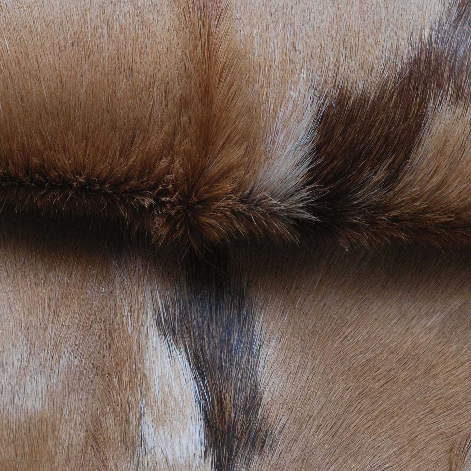 Luxurious Brown and White Goat Hide Rug - Natural Hair-On Leather for Home Styling