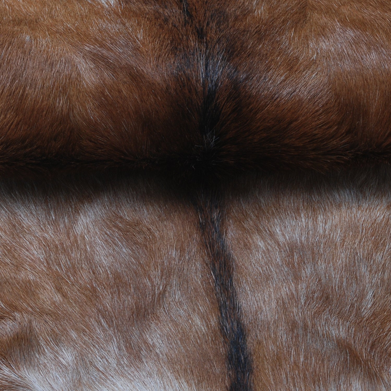 Goat Skin Rug: Tri-Color genuine Goat hide rug