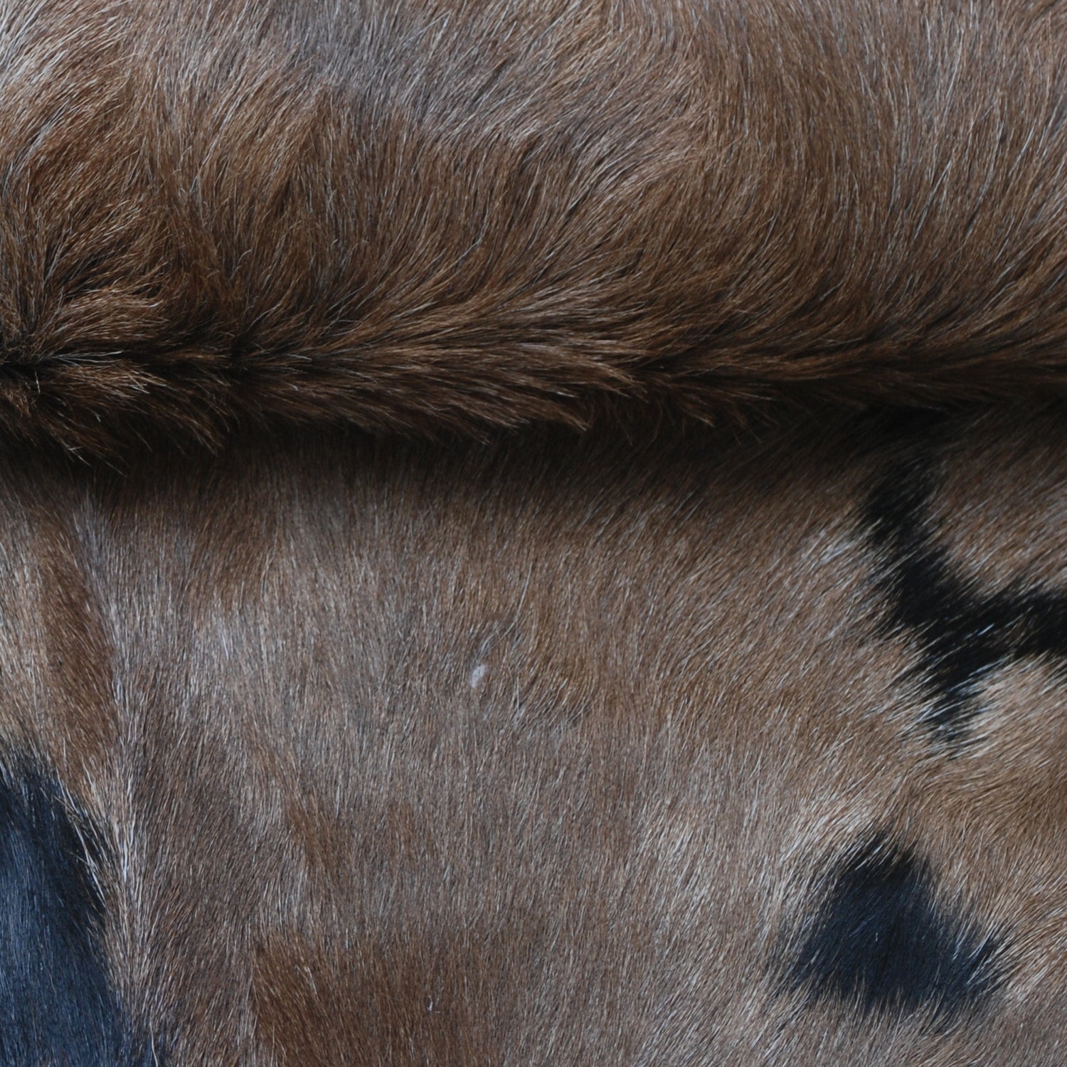 Black and Brown Handmade Goat Skin Rug – Rustic Charm for Your Home