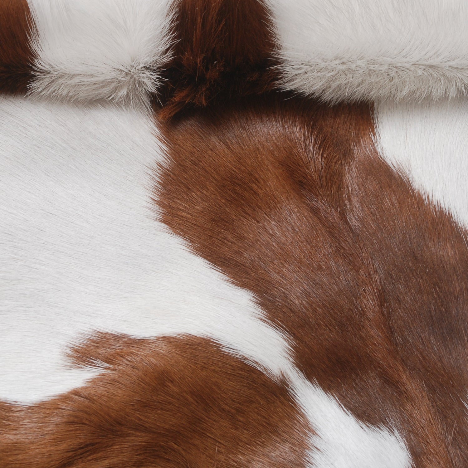 Luxurious Brown & White Genuine Goat Skin Rug for Home Décor - Celestial Leather Limited