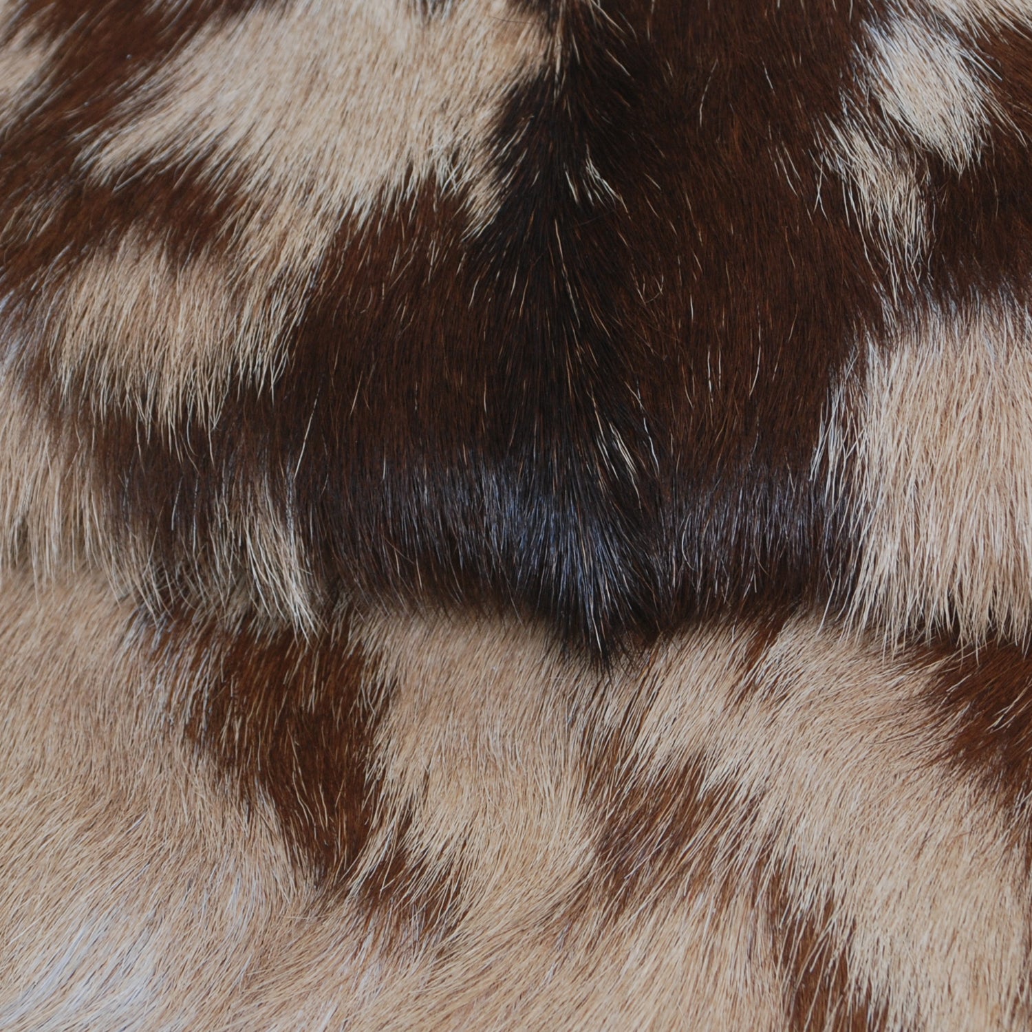 Goat Skin Rug: Tri-Color genuine Goat hide rug