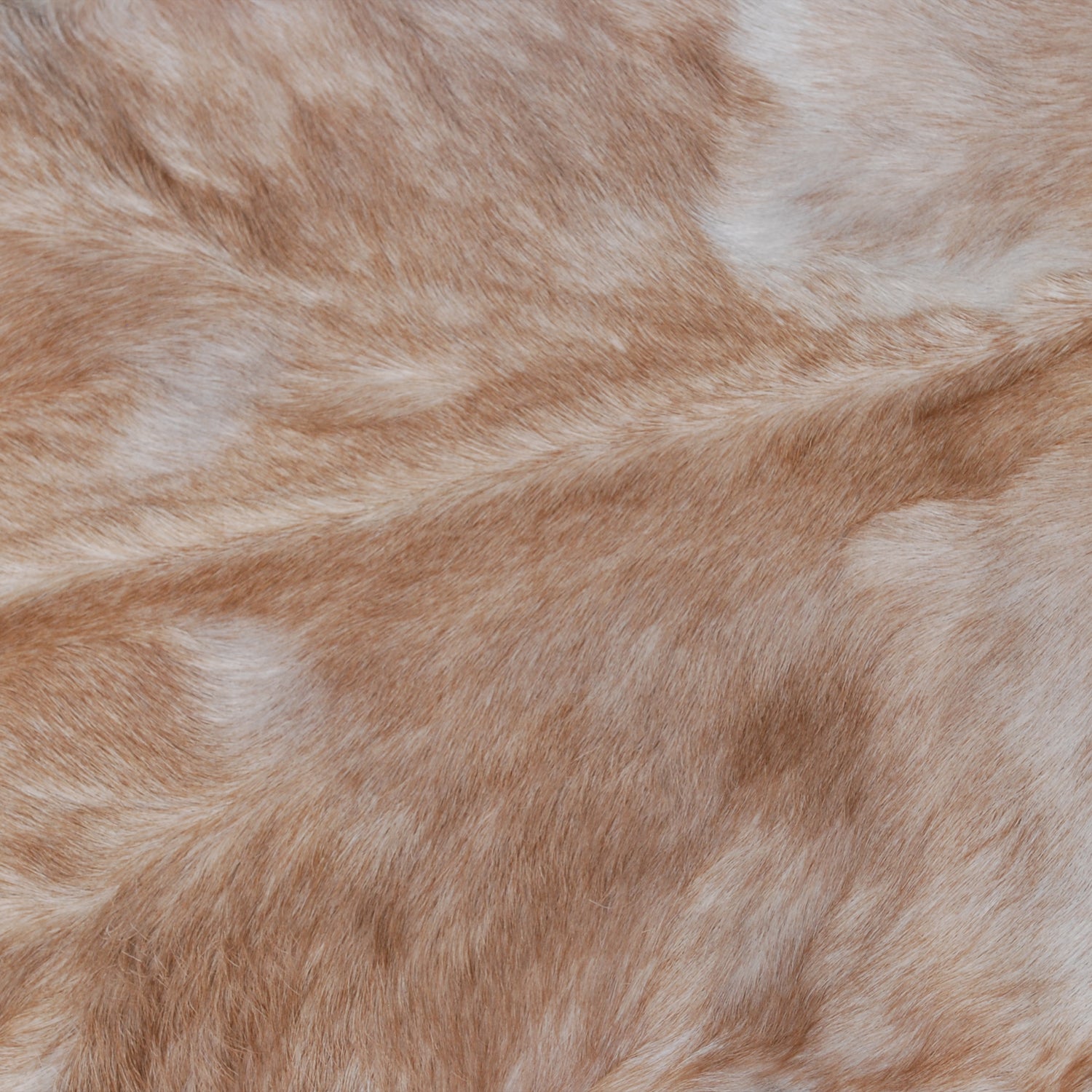 Luxurious Handmade Brown & White Goat Skin Rug | Soft, Kid & Pet-Friendly, Non-Shedding | Natural, Eco-Friendly Rustic Charm | Sustainable - Celestial Leather Limited