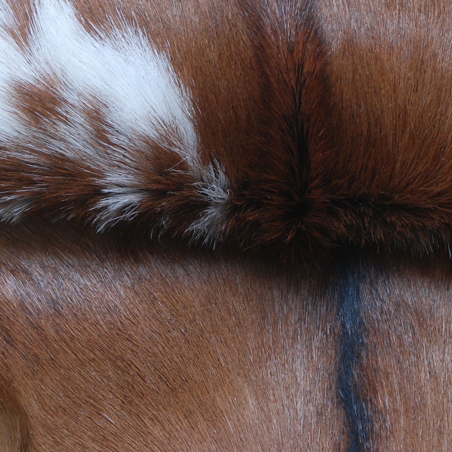 Handcrafted Dark Brown Goat Skin Rug – Authentic Elegance for Your Home