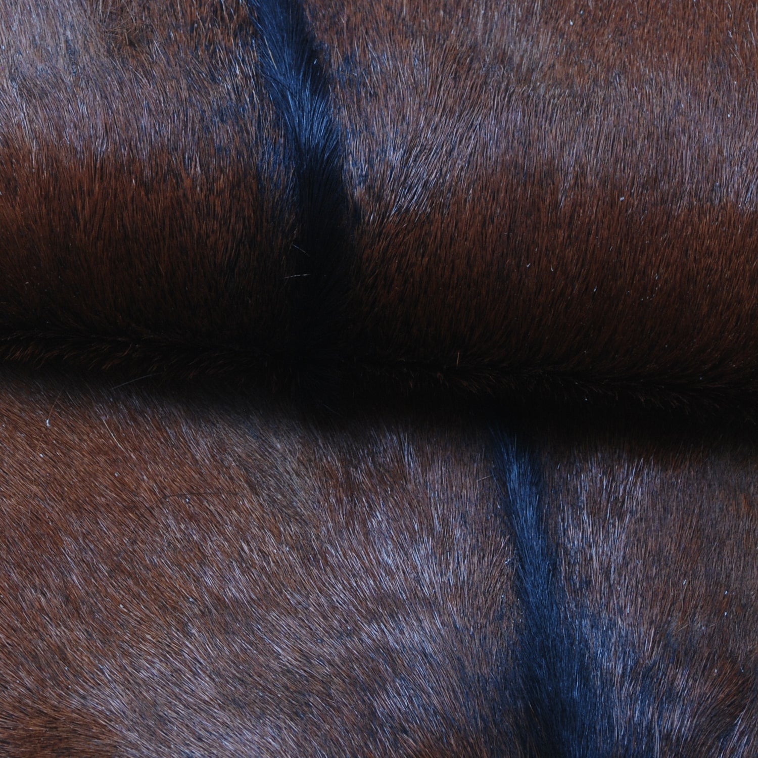 Luxury Brown & White Goat Hide Rug - Premium Natural Hair-on Goat Skin - Handcrafted Eco-Friendly Home Decor - Unique Patterns - Non-Slip - Celestial Leather Limited