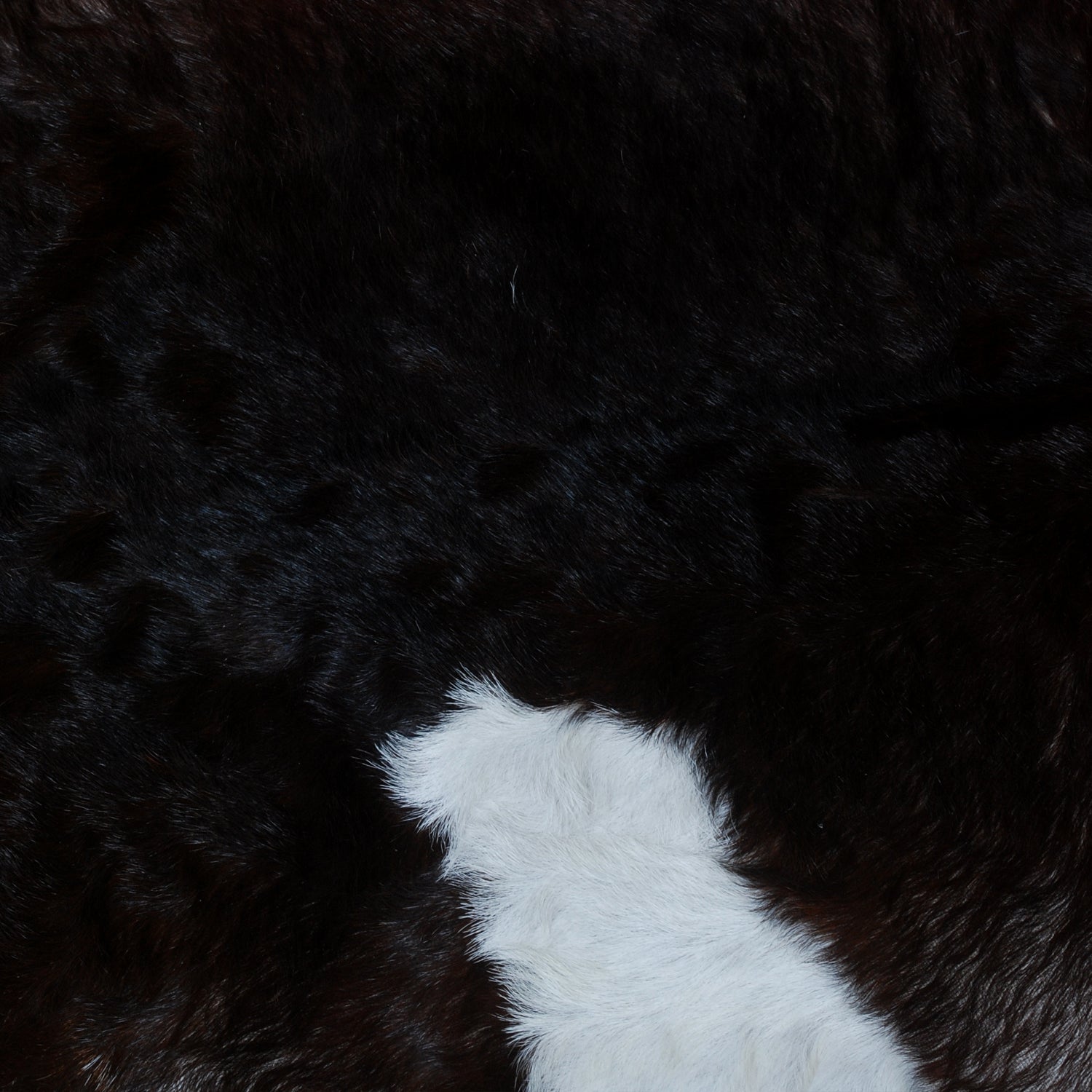 Stylish Black and White Goat Hide Rug - Unique Natural Pattern for Modern Homes