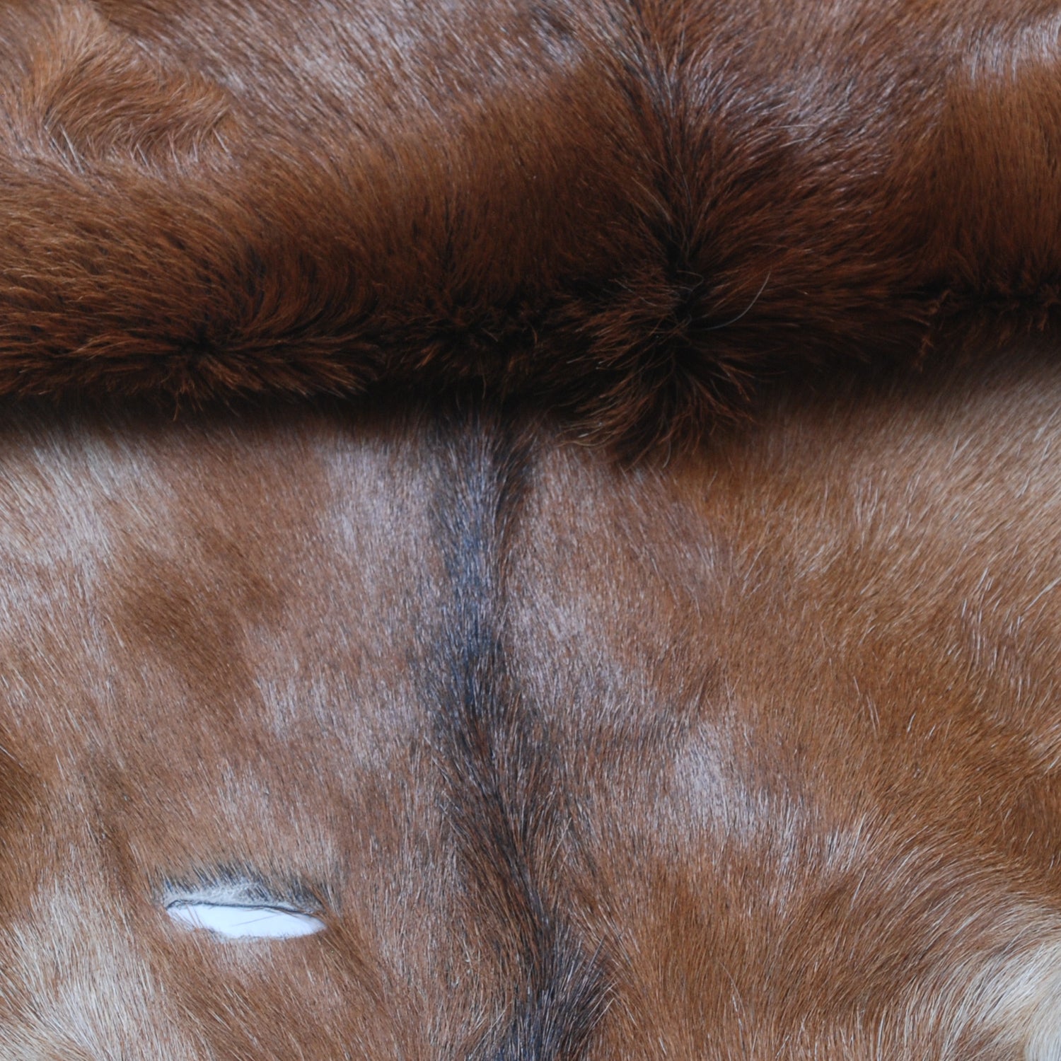 Luxury Brown and White Goat Hide Rug - Natural Premium Hair-On Goat Skin Rug - Handcrafted Eco-Friendly Home Decor - Celestial Leather Limited