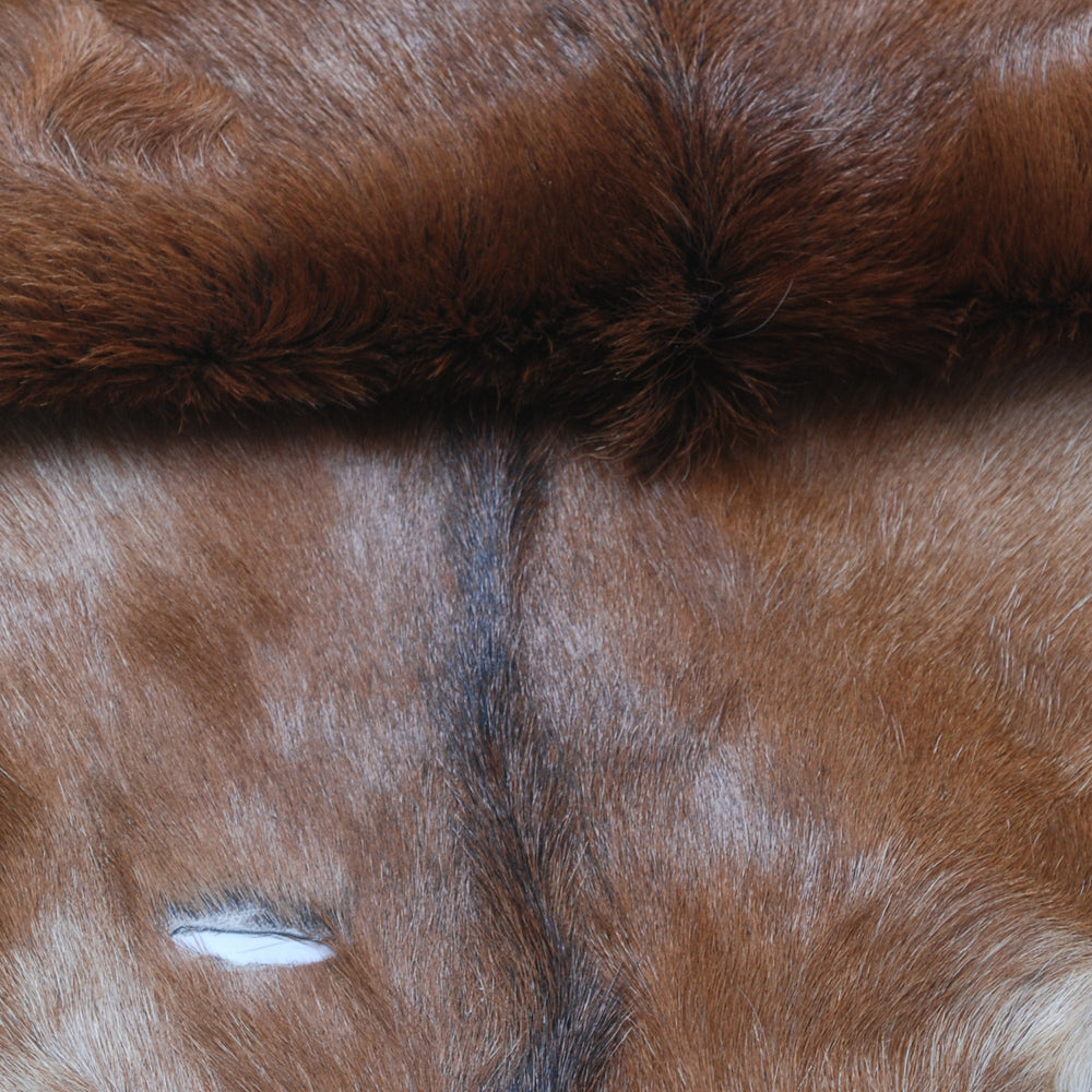 Luxury Brown and White Goat Hide Rug - Natural Premium Hair-On Goat Skin Rug - Handcrafted Eco-Friendly Home Decor - Celestial Leather Limited