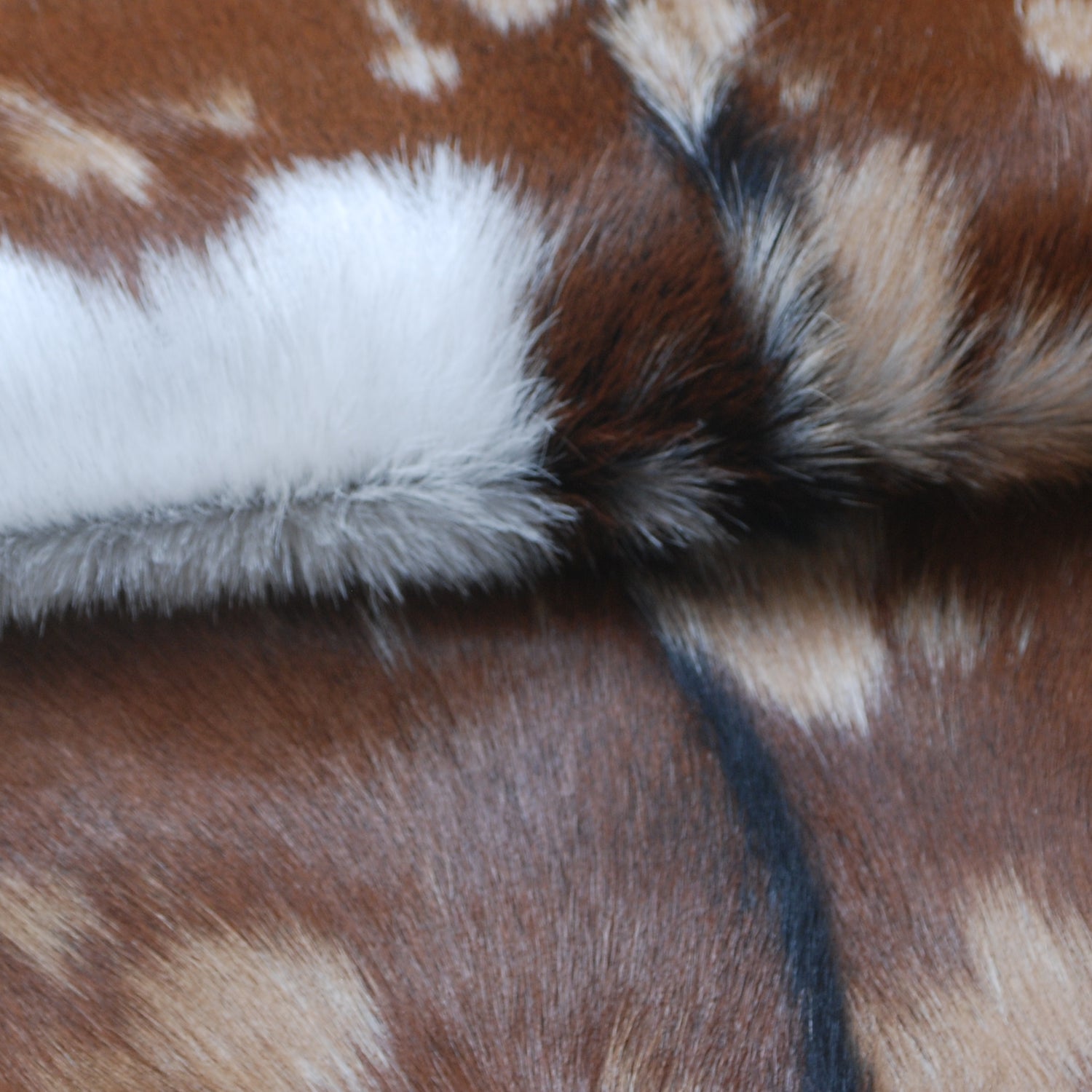 Goat Skin Rug: Tri-Color genuine Goat hide rug