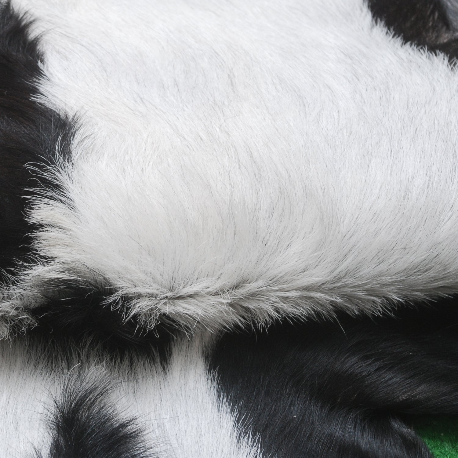Luxurious Black & White Goat Skin Rug Décor Animal Skin Rug
