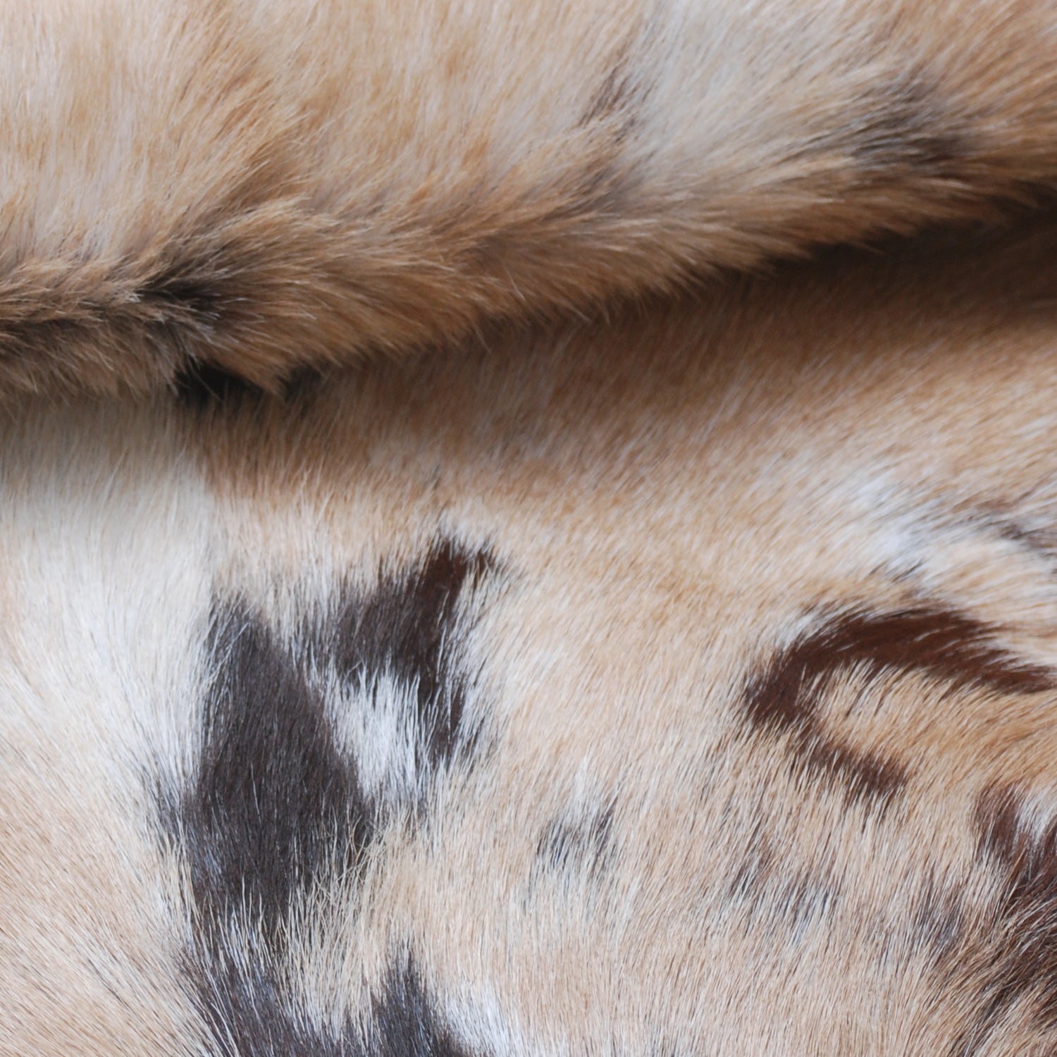 Goat Skin Rug: Tri-Color genuine Goat hide rug