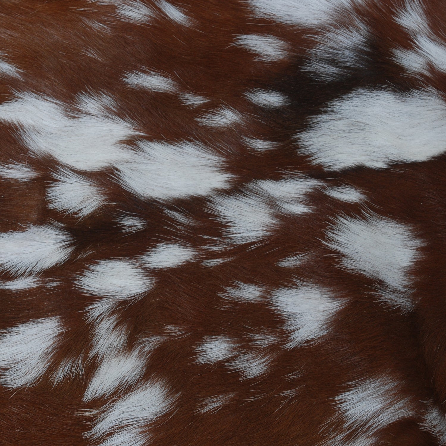 Natural Hair-On Dark Brown Goat Skin Rug - Elegant and Durable for Any Room