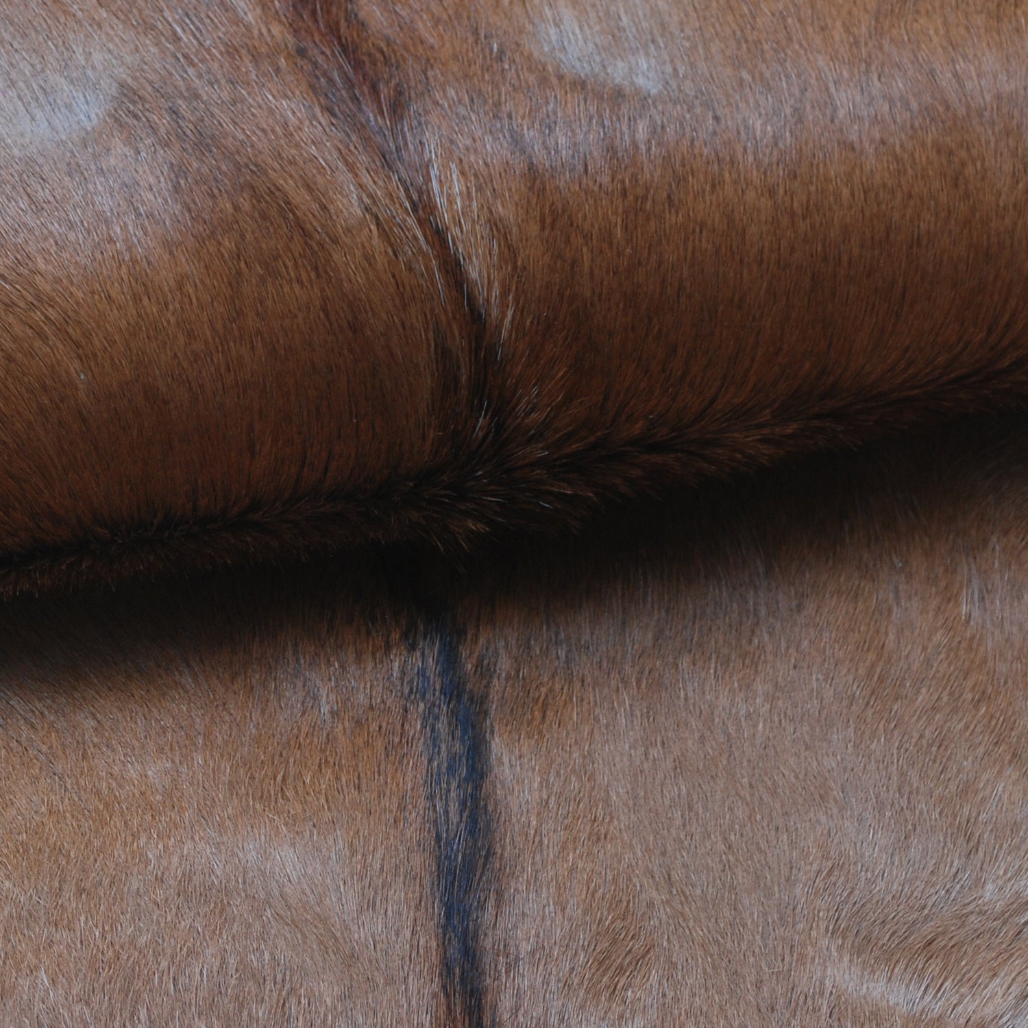 Luxury Brown & White Goat Hide Rug | Premium Hair-On Skin | Handpicked - Handcrafted | Non-Slip Suede Back | Sustainable - Eco-Friendly