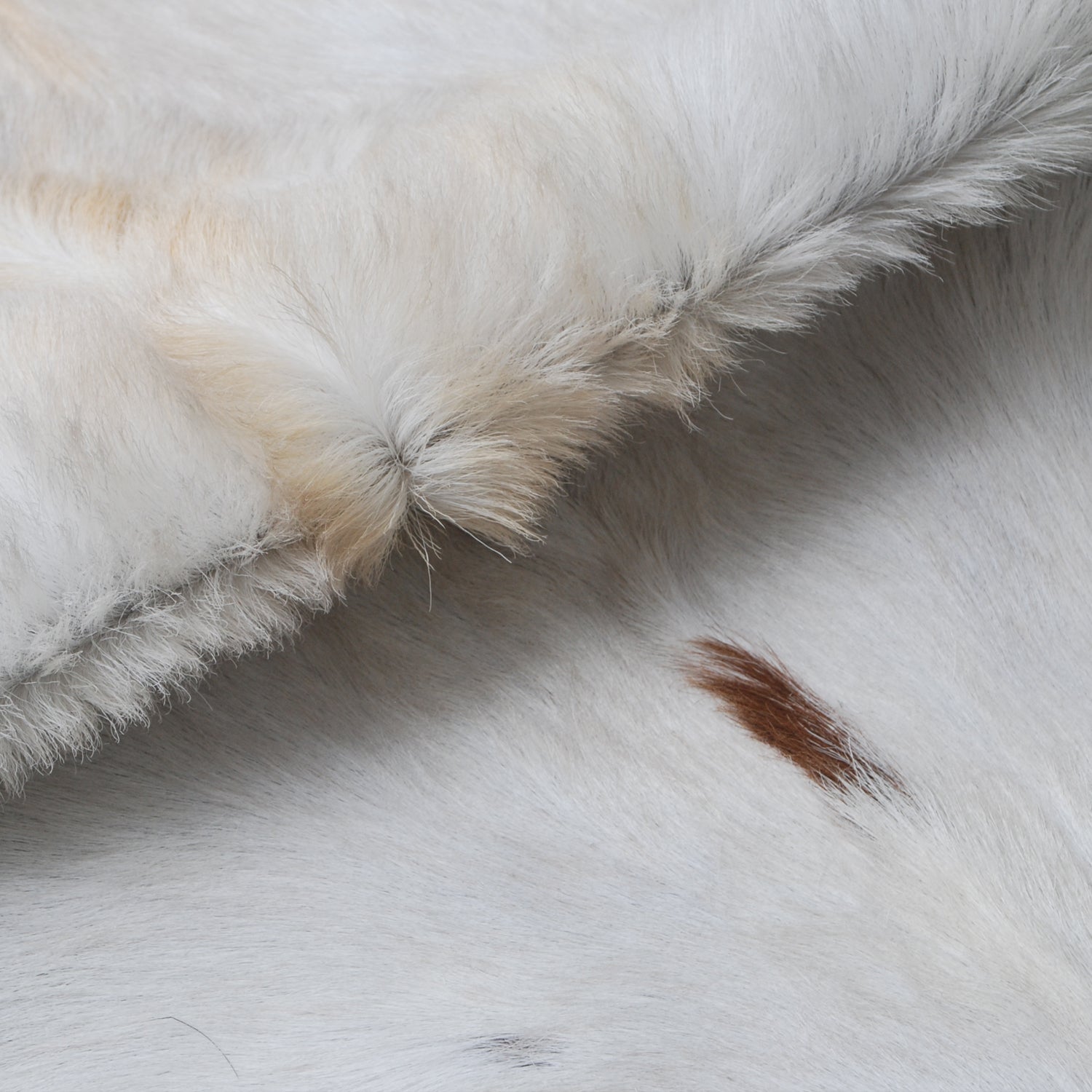Luxury Brown and White Goat Hide Rug | Premium Hair-On Skin | Non-Slip Suede Back | Sustainable & Eco-Friendly | Handcrafted Elegance