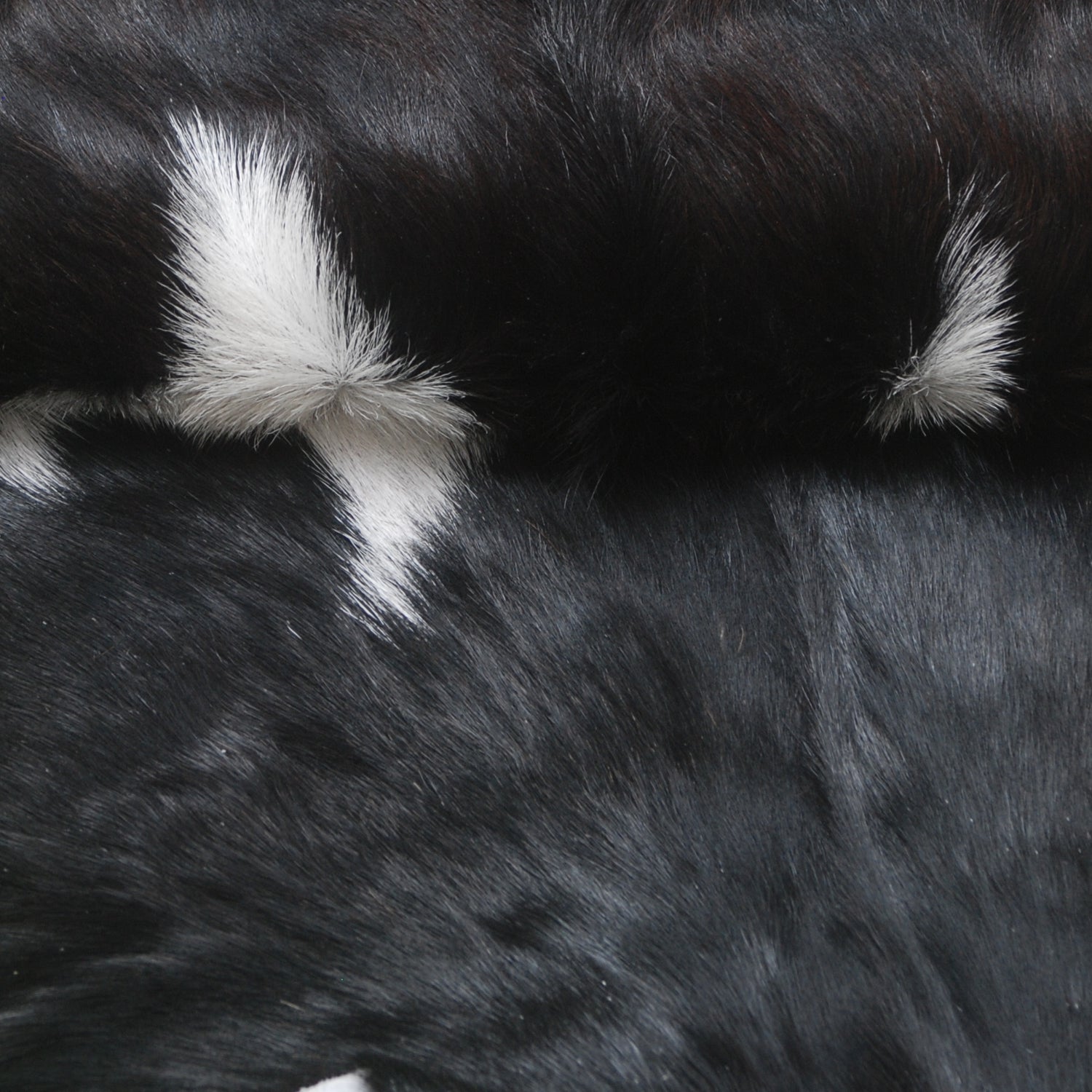 Black and White Handmade Goat Skin Rug – Natural Luxury for Your Home