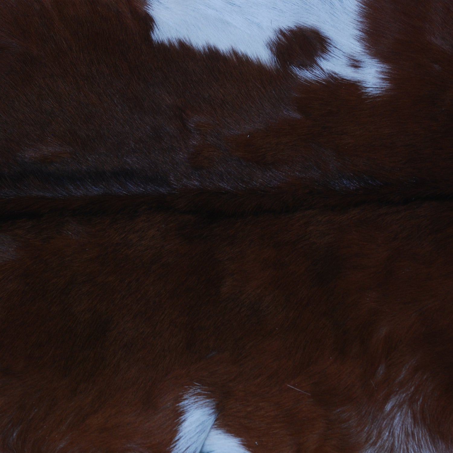 Premium Dark Brown Goat Skin Rug - Rustic Charm for Modern and Classic Interiors