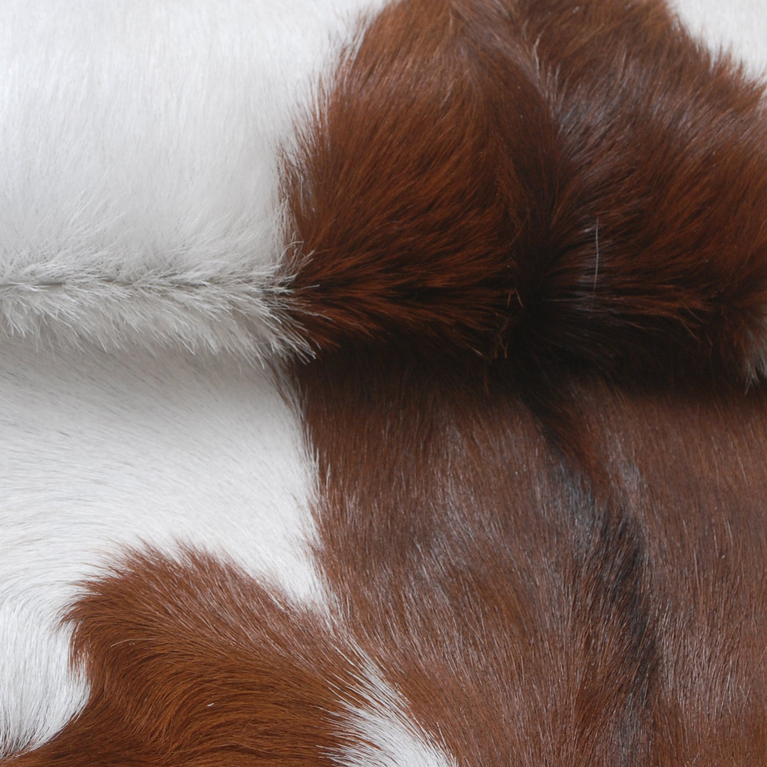 Luxury Brown and White Goat Hide Rug - Premium Hair-on Goatskin Rug - Eco-Friendly and Handcrafted - Hypoallergenic - Non-Slip Suede Back