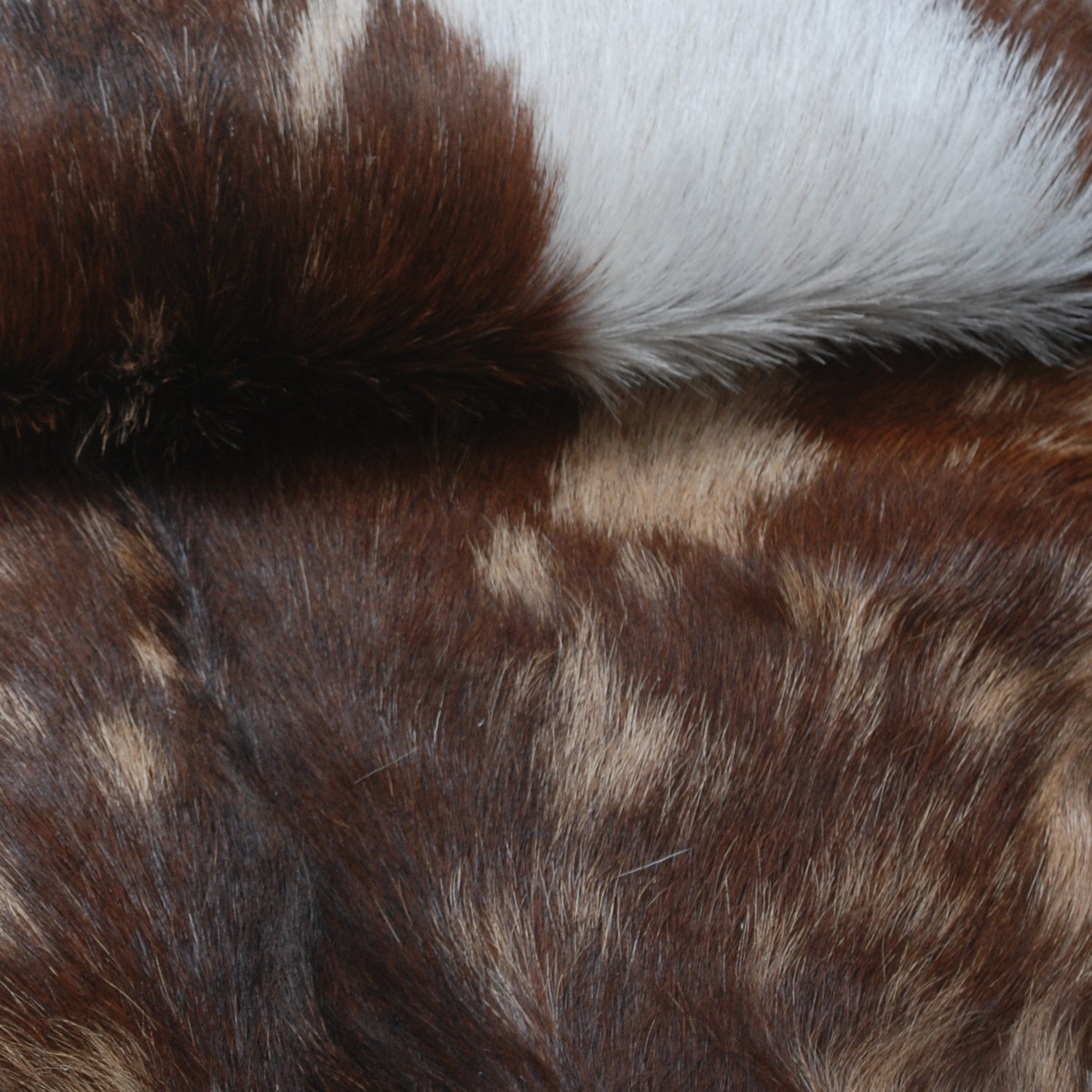 Goat Skin Rug: Tri-Color genuine Goat hide rug