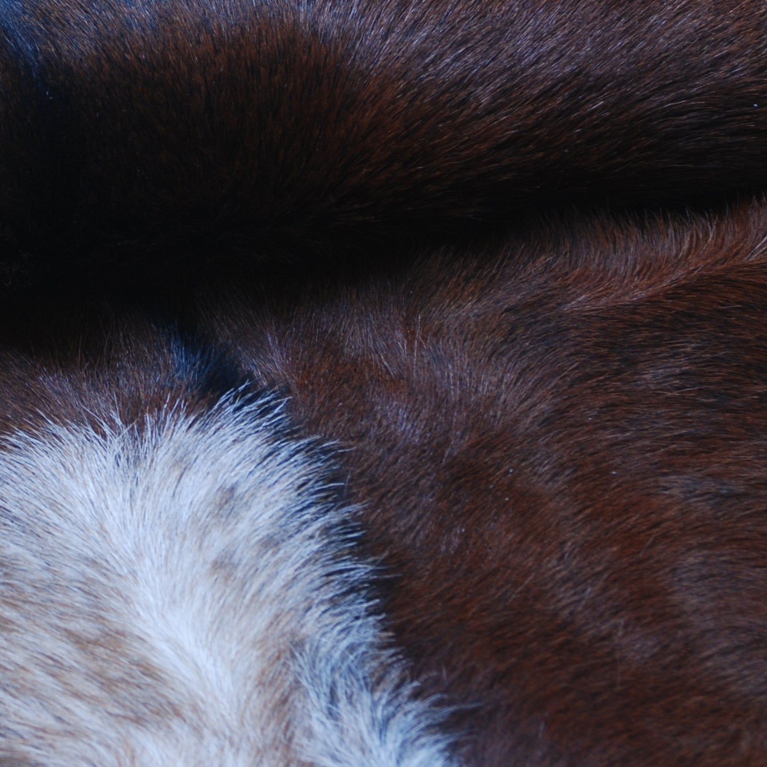 Handcrafted Dark Brown Goat Hide Rug - Soft, Natural Leather for Home Décor