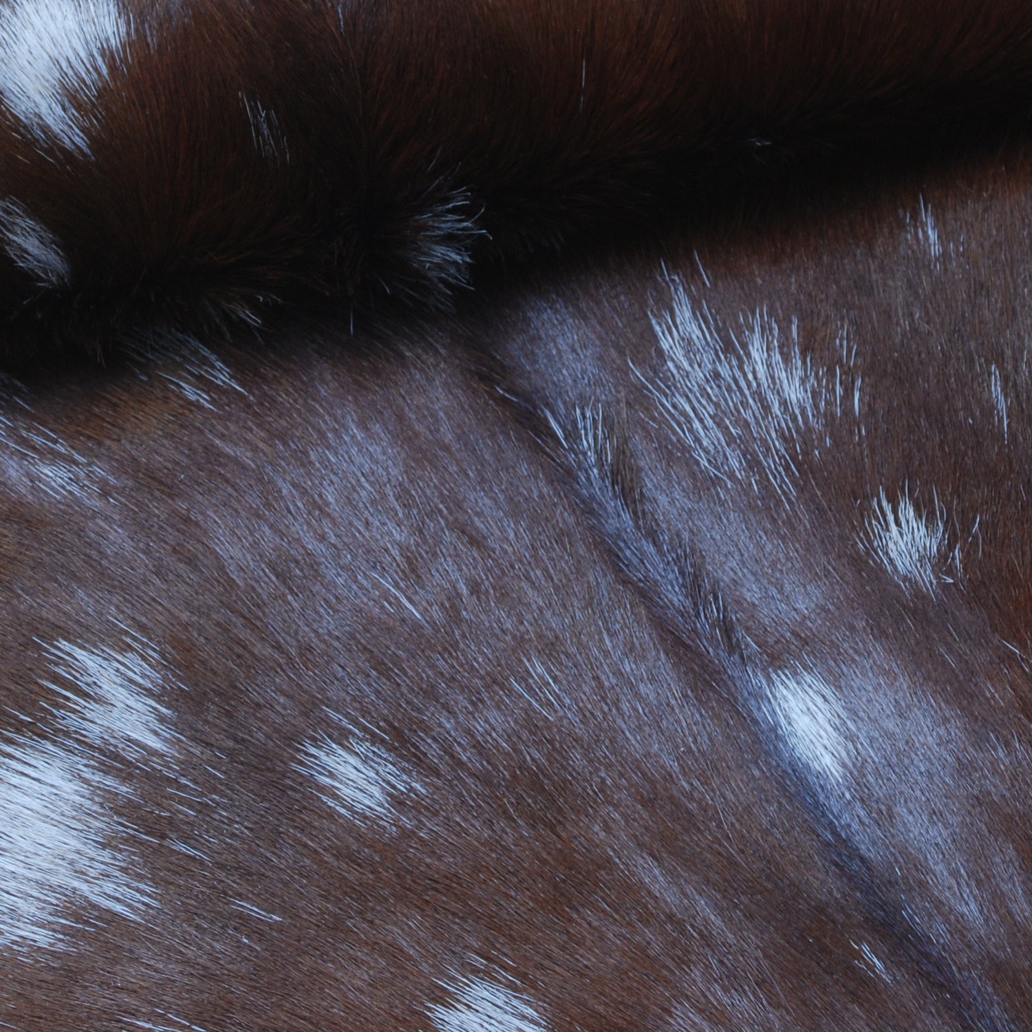 Dark Brown Rug - Soft, Durable, and Eco-Friendly - Handmade Pure Goat Skin Floor Rug - Non-Slip Suede Back