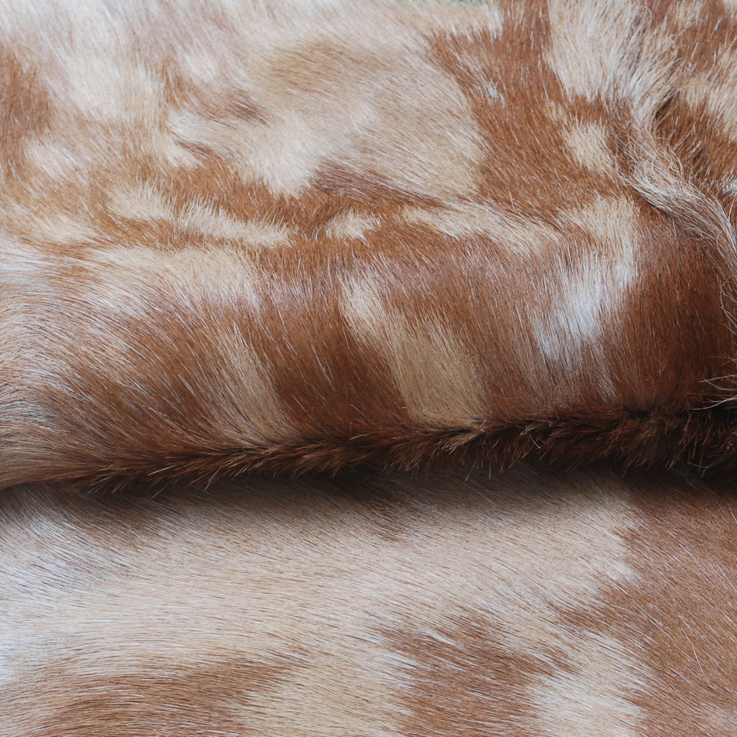 Premium Brown and White Goat Skin Rug - Genuine Hair-On Leather for Rustic Décor