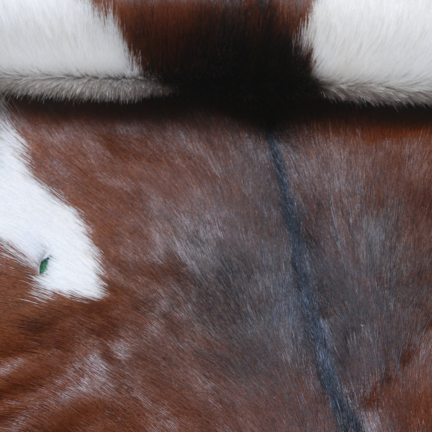 Luxurious Brown & White Hair-on Goat Skin Rug - Premium Goat Hide Rug Elegance - Sophistication for Home Décor - Hypoallergenic - Celestial Leather Limited