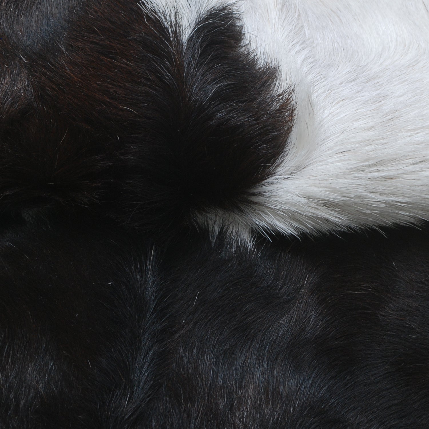 Rustic Black and White Goat Hide Rug - Perfect for Floor or Wall Décor