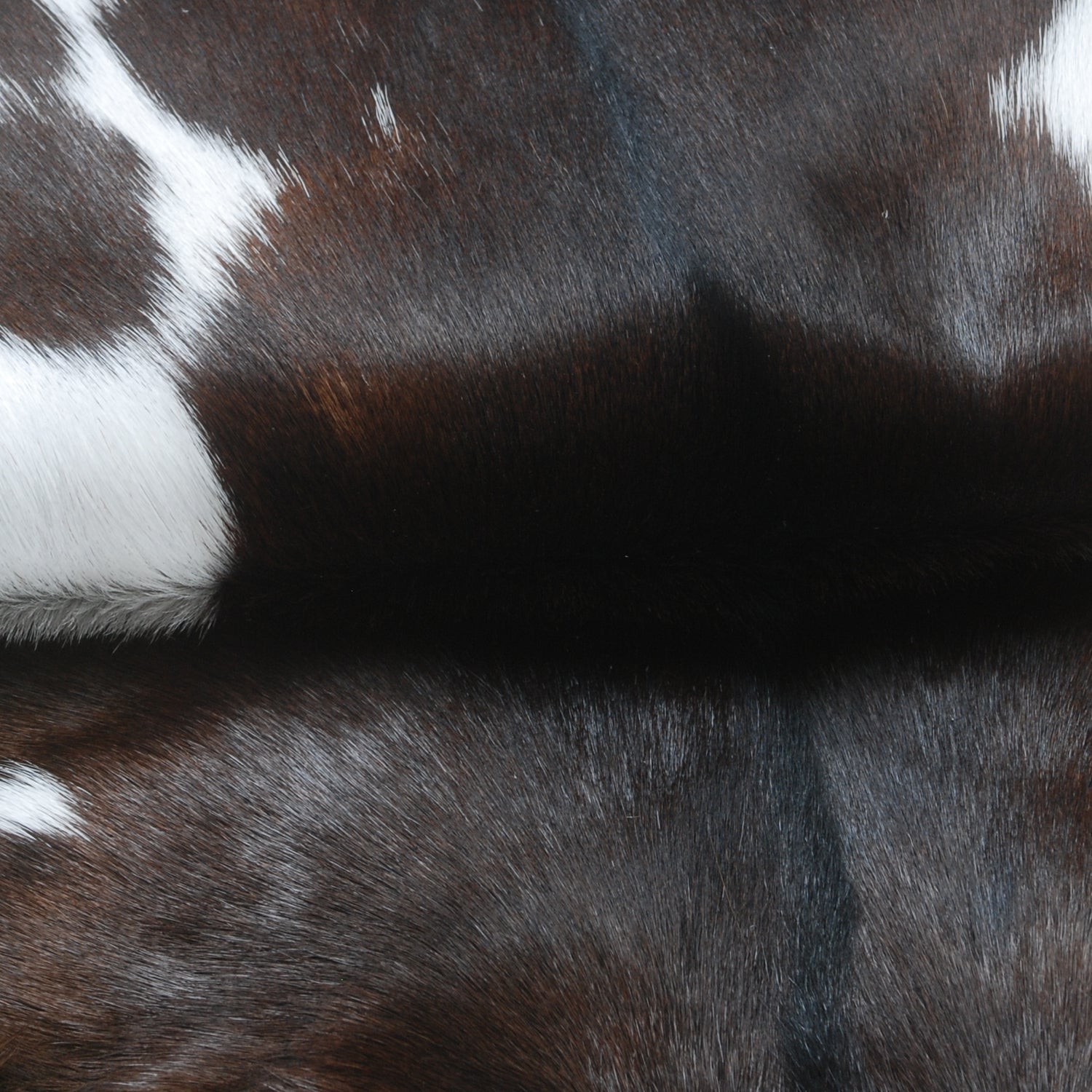 Luxury Dark Brown & White Goat Skin Rug - Soft, Hypoallergenic & Non-Shedding - Non-Slip Backing, Eco-Friendly - Handmade Natural Beauty for Home - Celestial Leather Limited