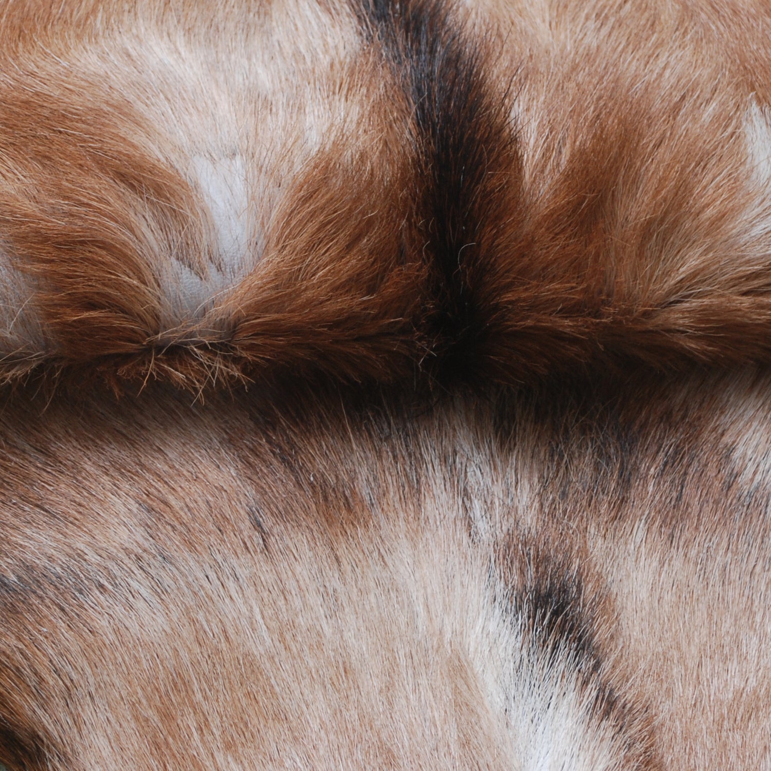 Luxurious Handmade Multicolour Goat Skin Rug - Soft, Kid & Pet Friendly, Hypoallergenic, Non-Shedding, Sustainable - Eco-Friendly