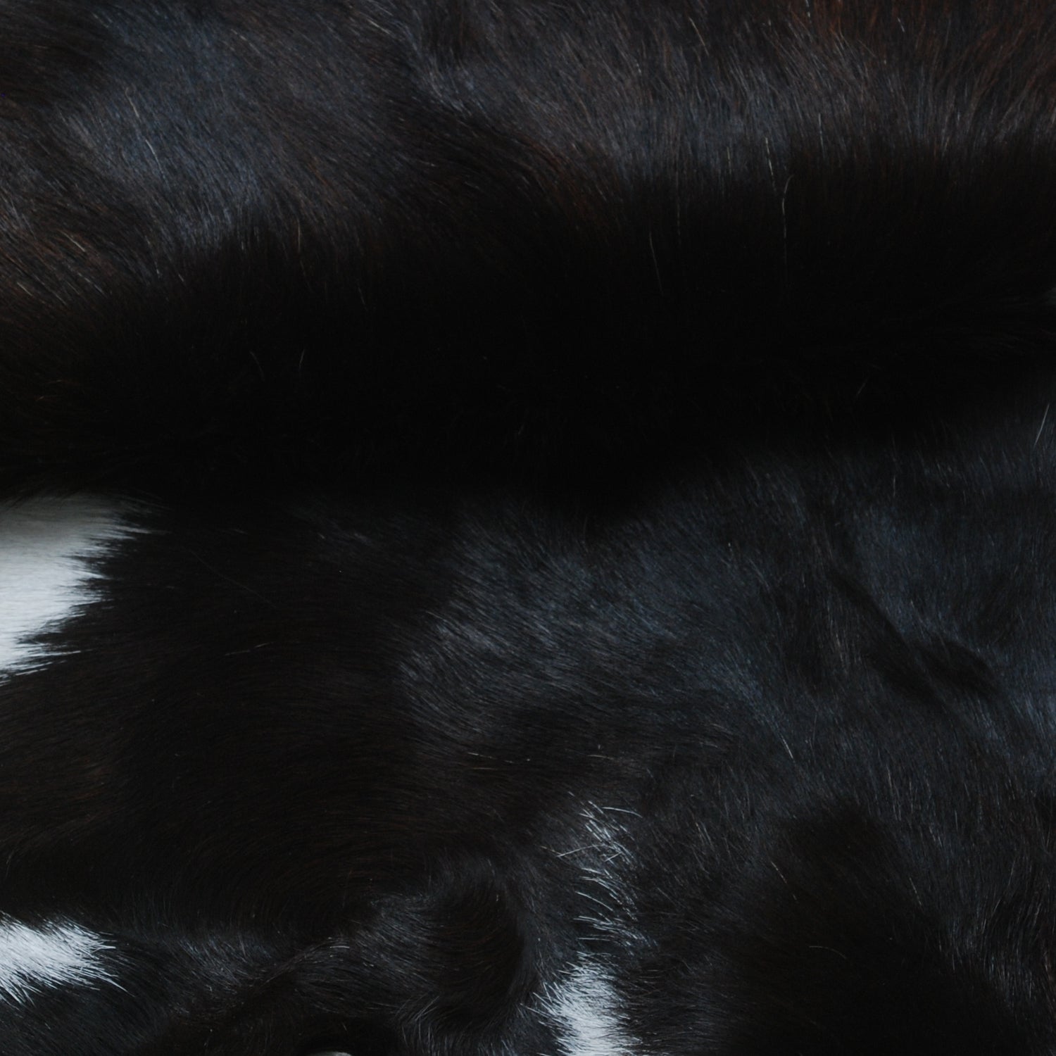 Luxury Black & White Genuine Goat Hide Rug | Premium Hair-On Skin Rug with Non-Slip Suede Back | Eco-Friendly - Sustainable - Celestial Leather Limited