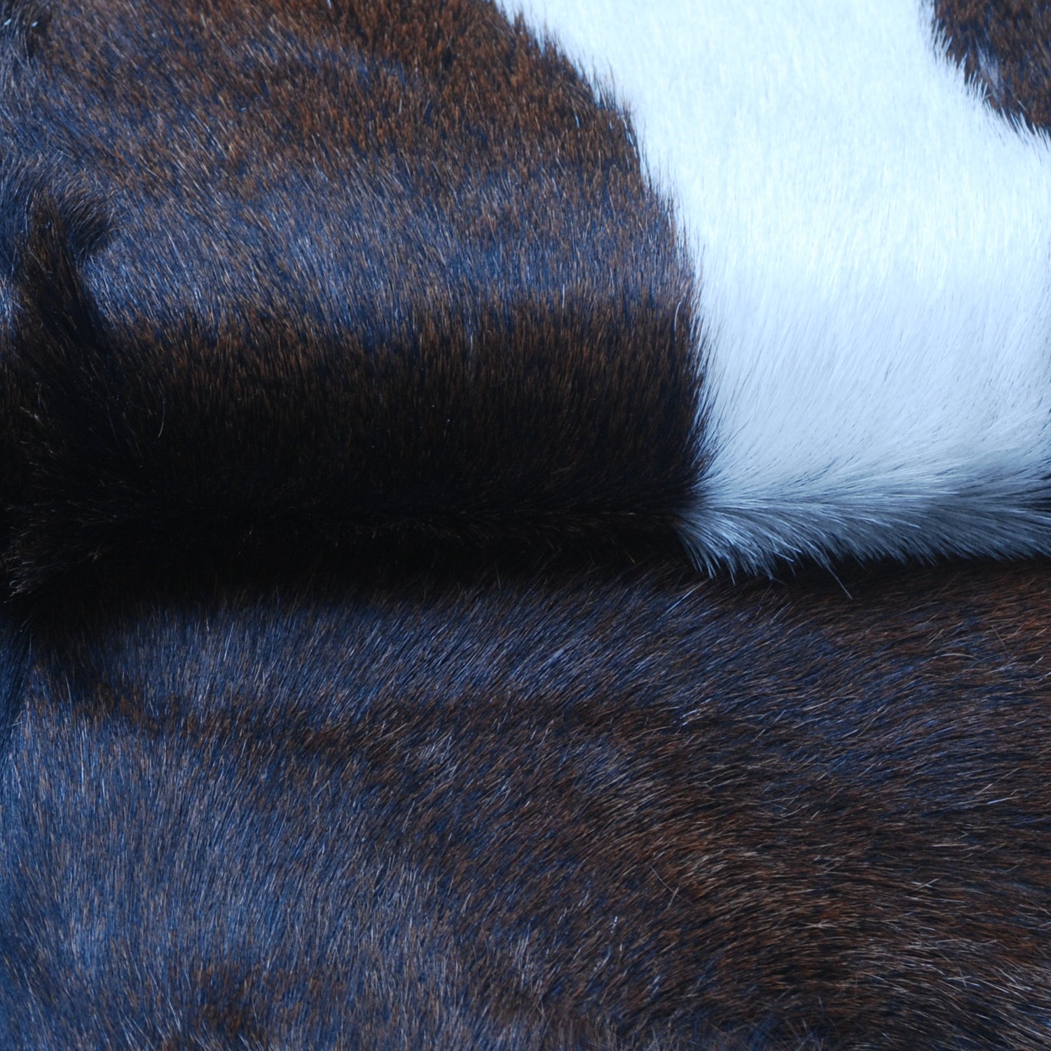 Authentic Dark Brown Goat Hide Rug - Unique Pattern for Modern and Classic Décor