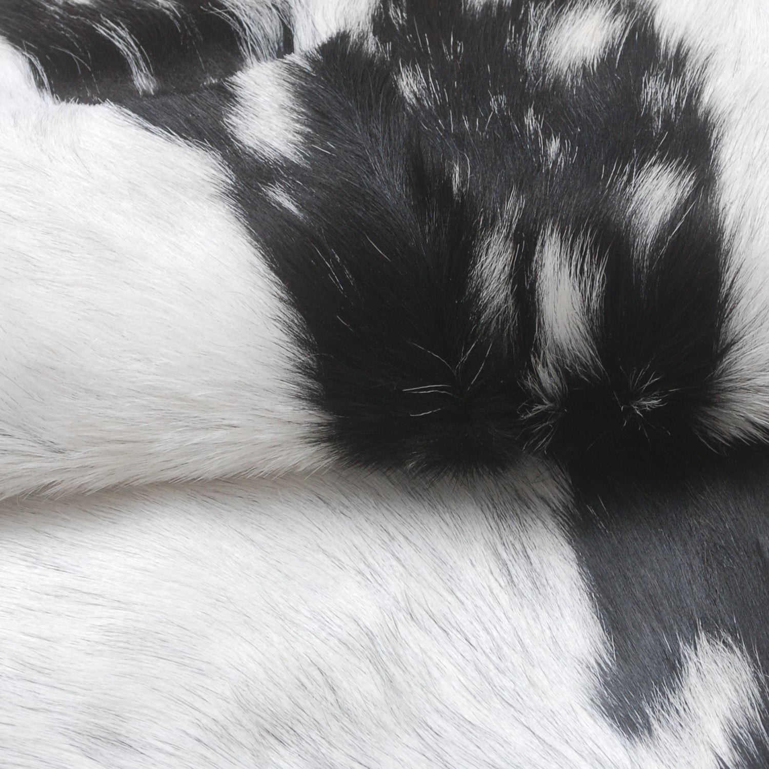 Goat Skin Rug, Handpicked for Quality, Unique Piece for Sale, Fast UK Delivery