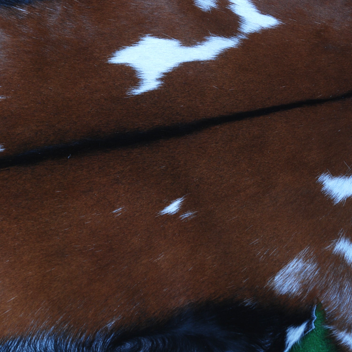 Premium Dark Brown Goat Skin Rug - Rustic Charm for Modern and Classic Interiors