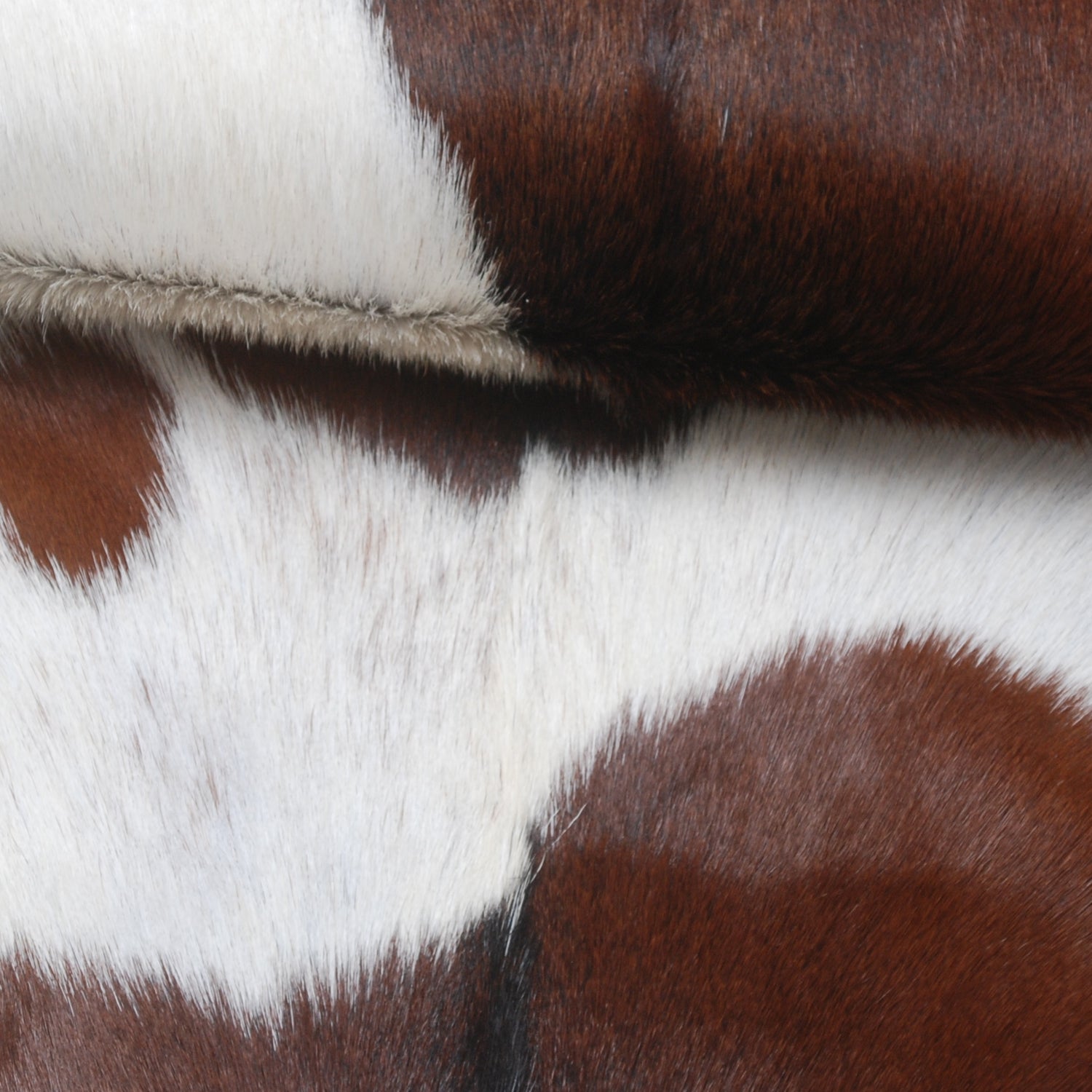 Elegant Dark Brown Goat Skin Rug - Natural Hair-On Accent for Floors or Walls